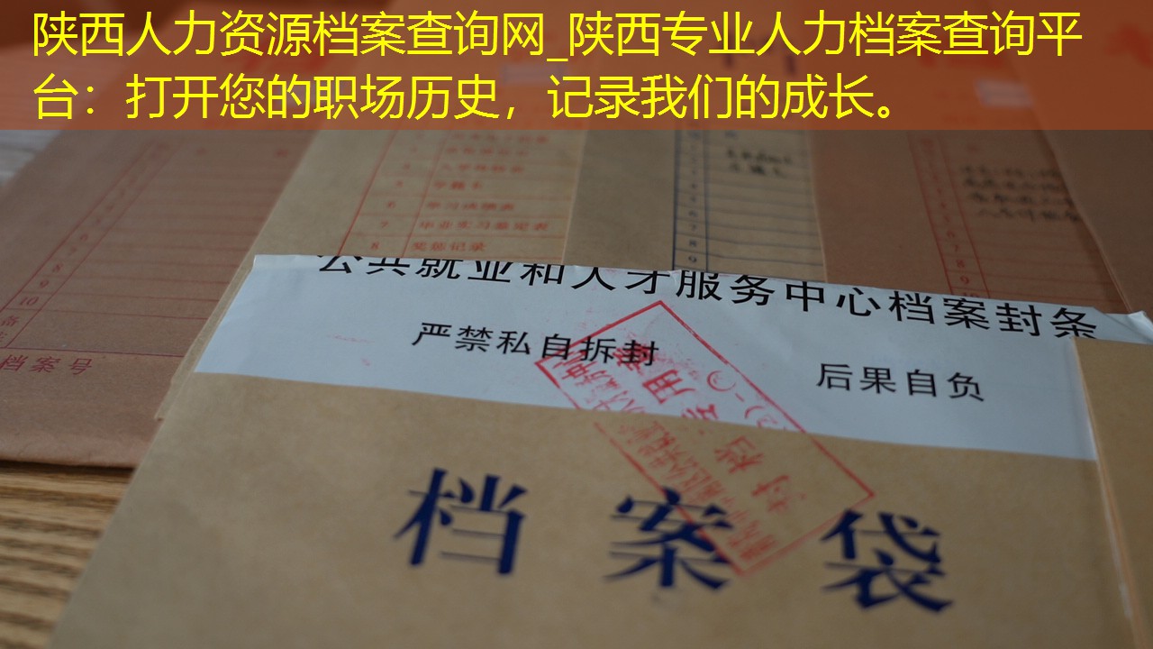 档案查询