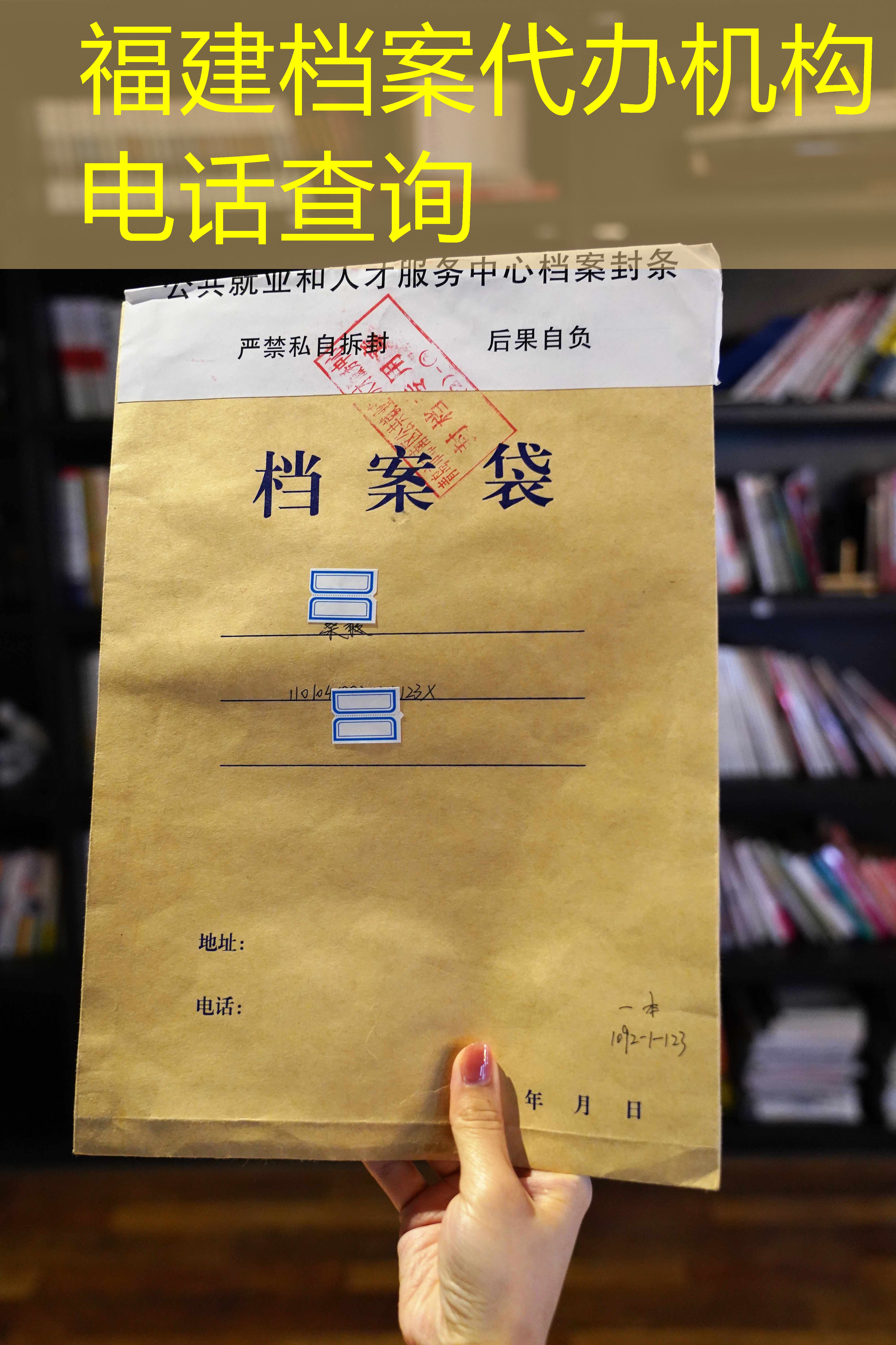 档案查询