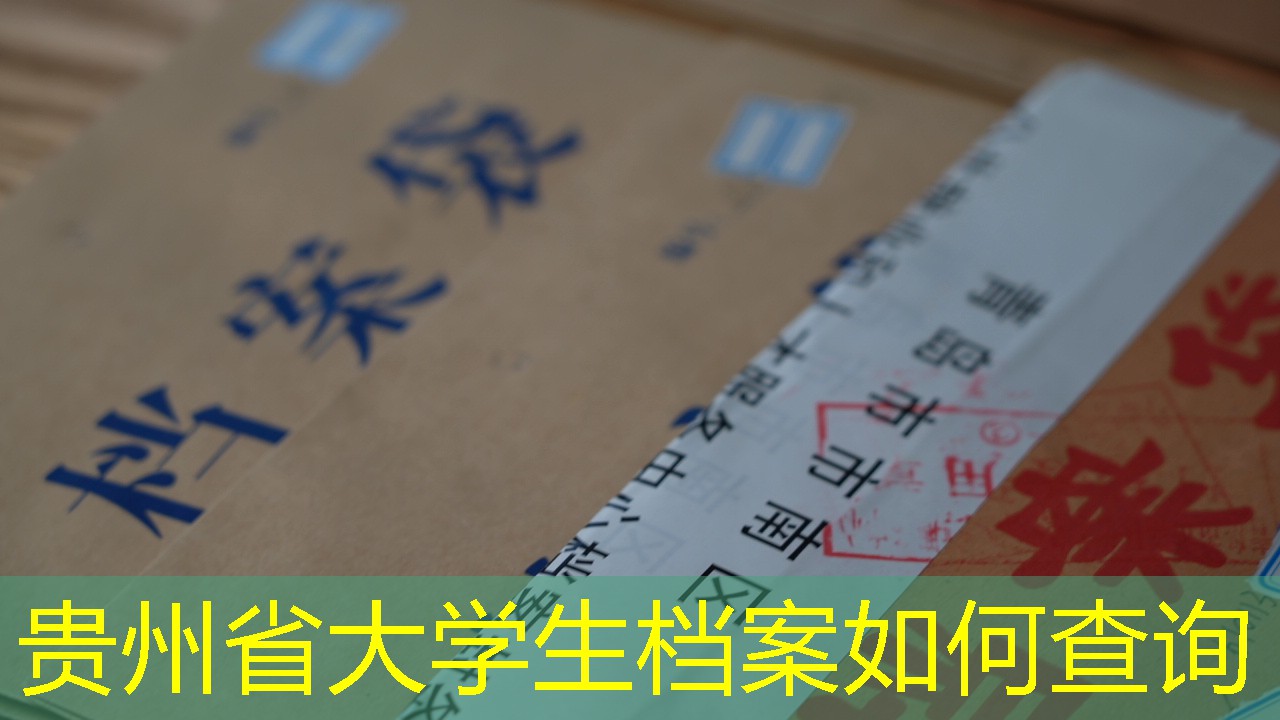 档案查询
