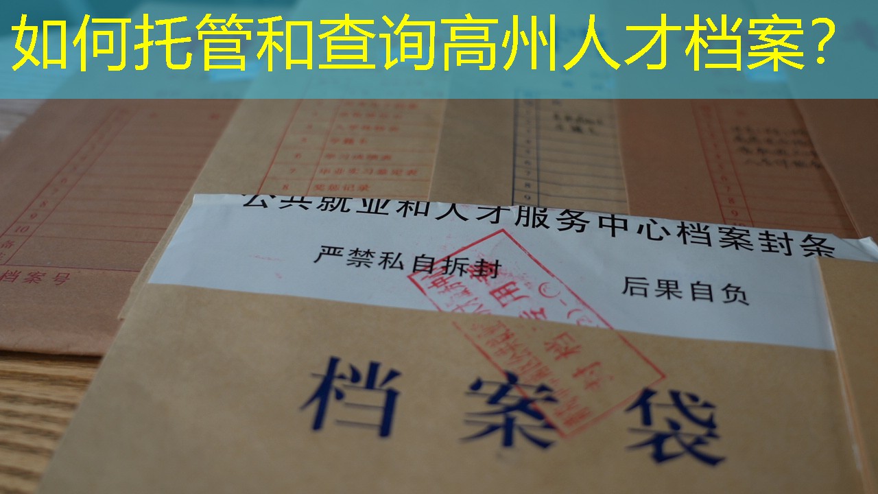 档案查询