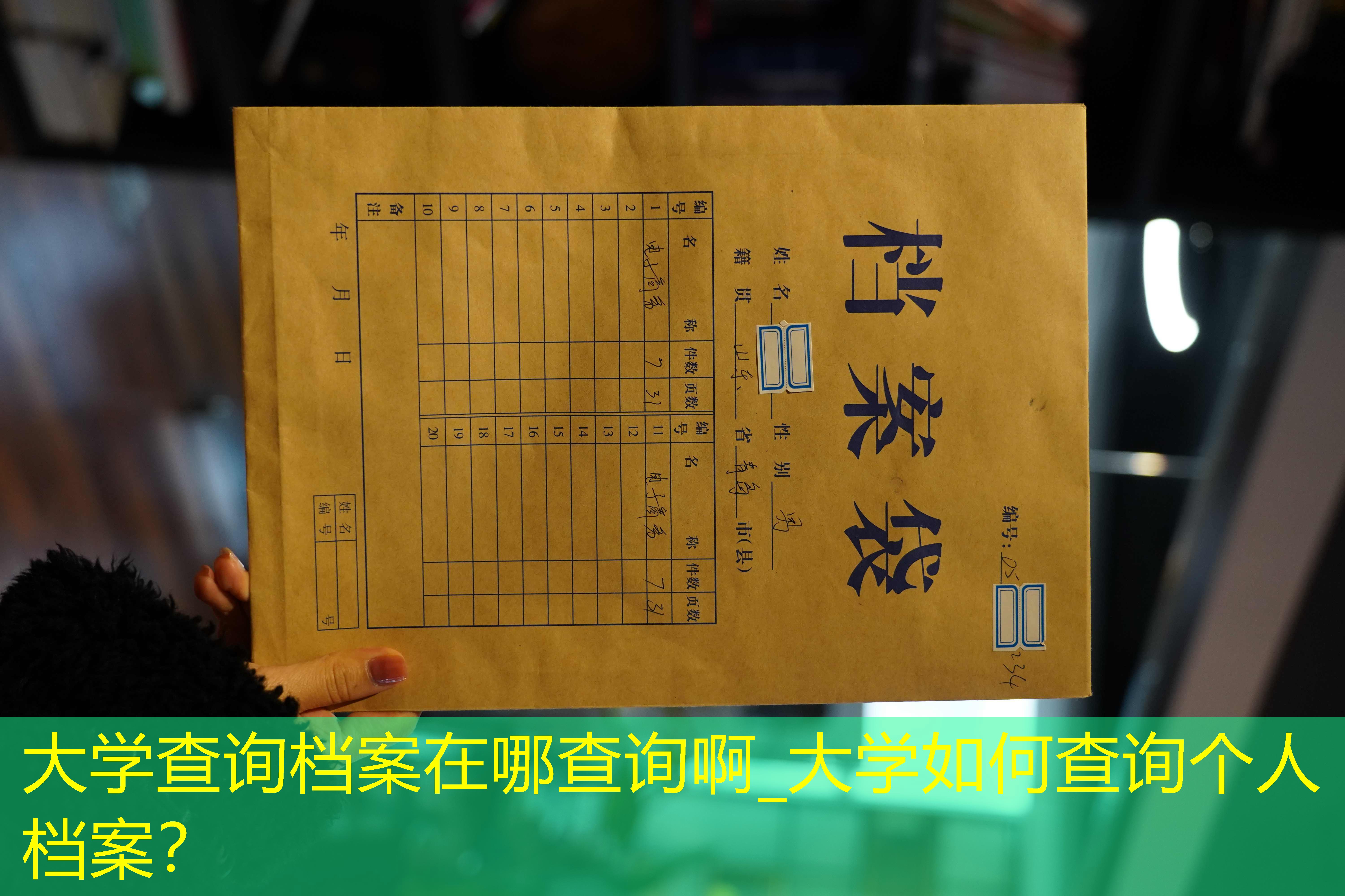 档案查询
