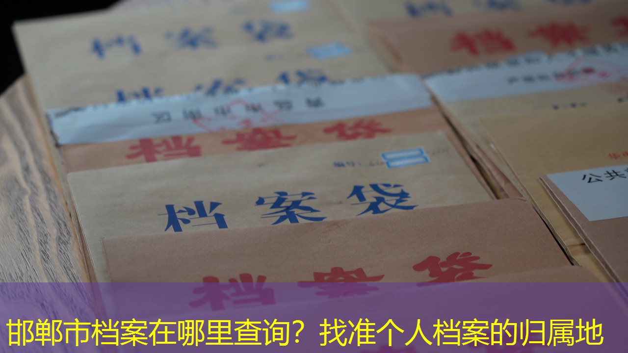 档案查询