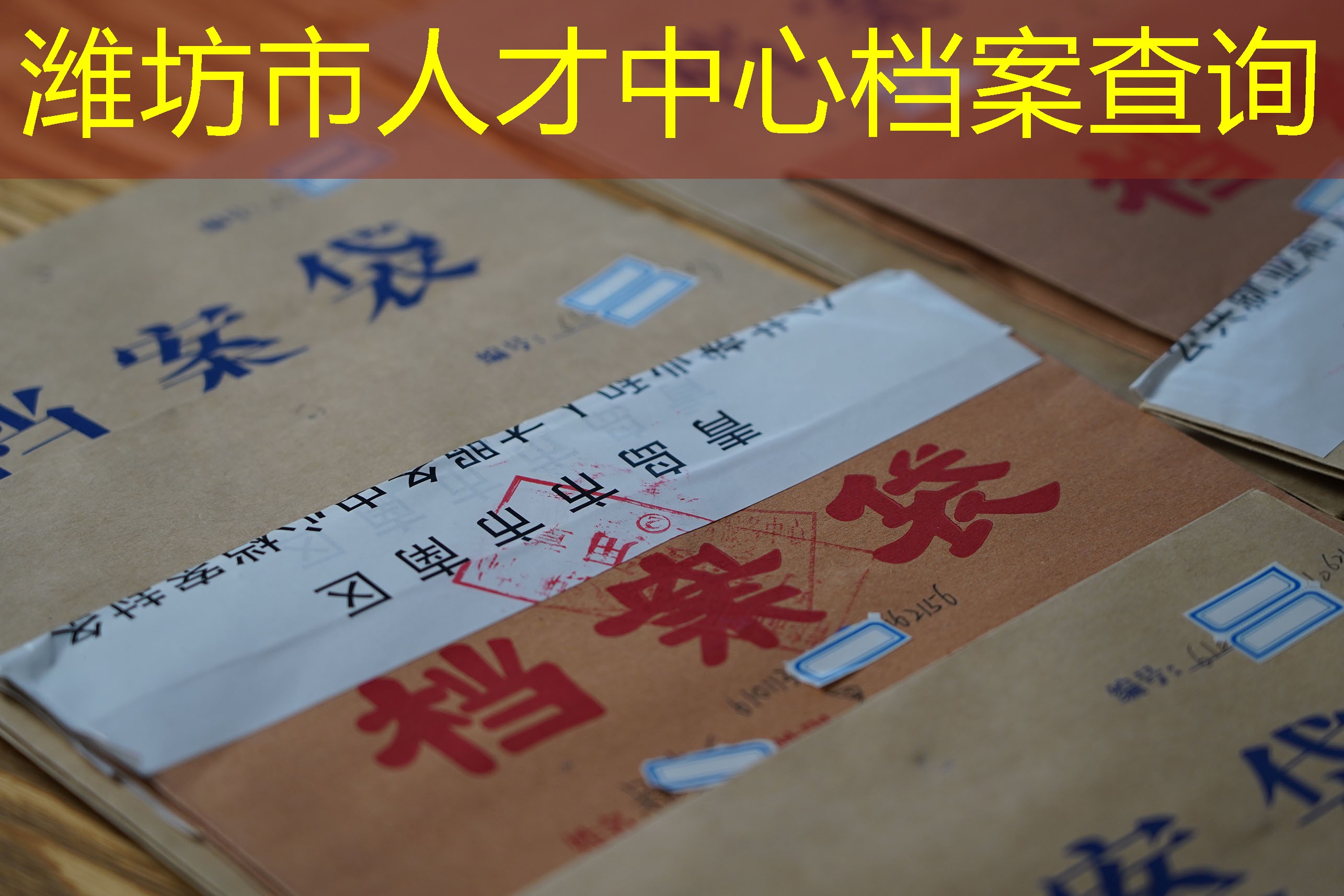 档案查询