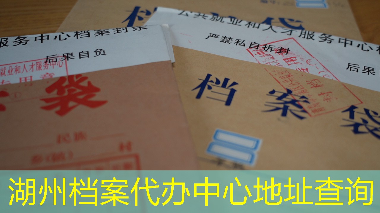 档案查询