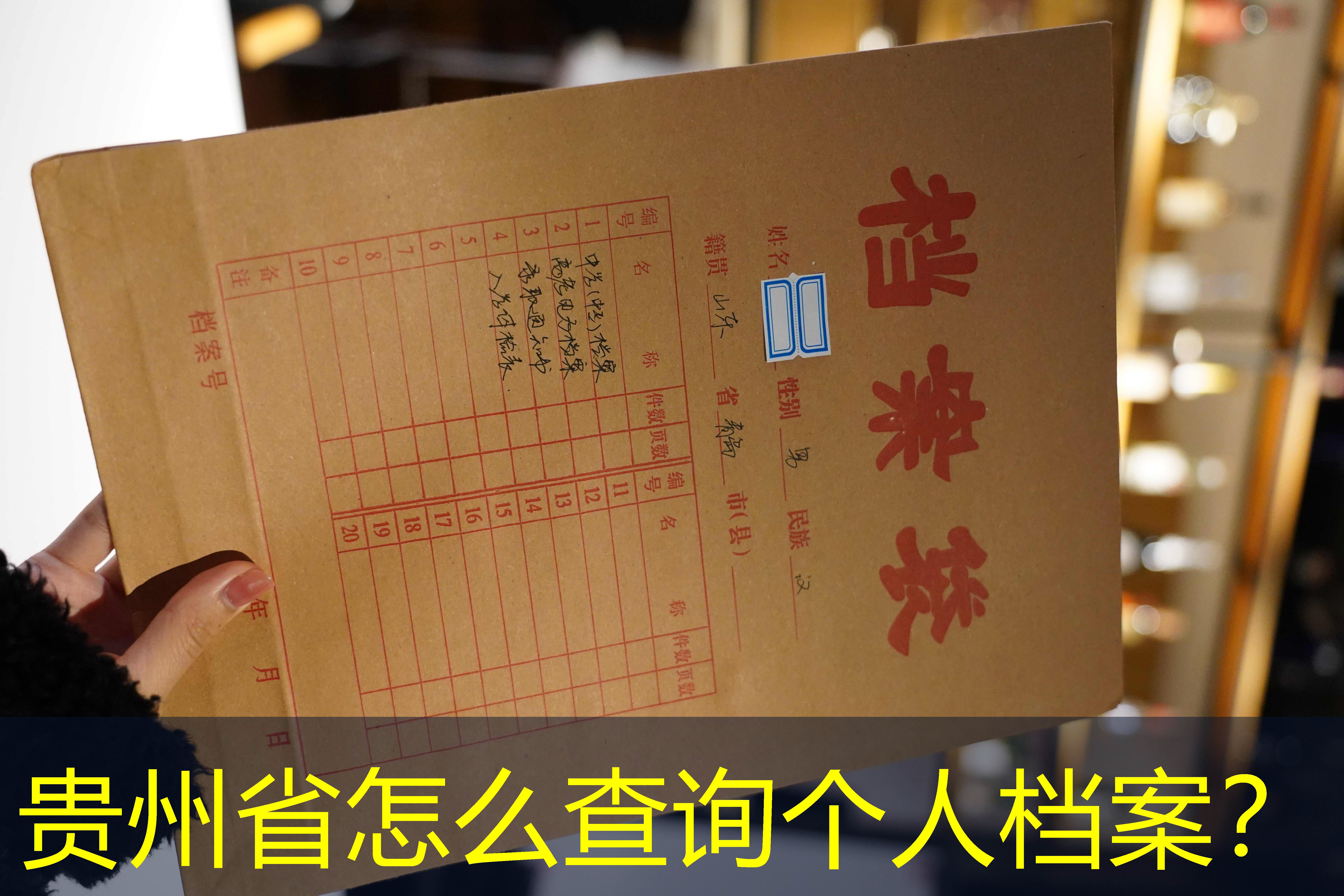 档案查询