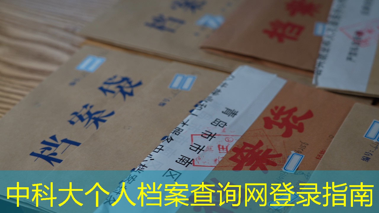 档案查询