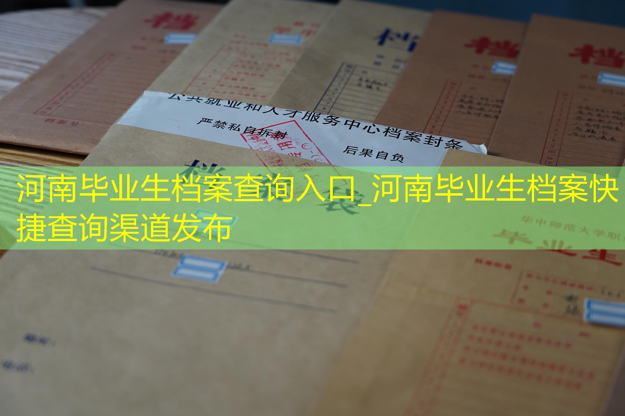 档案查询