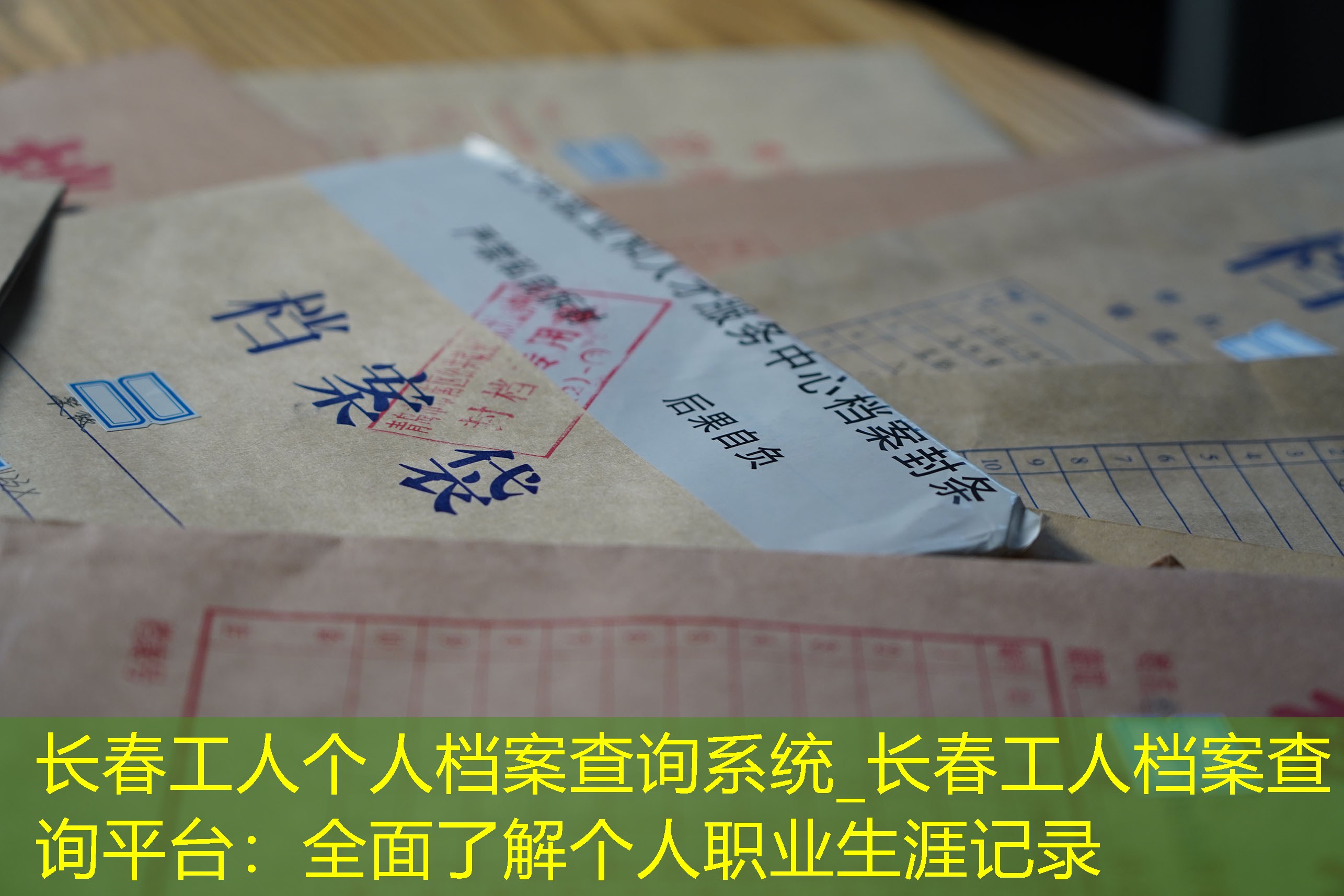 档案查询