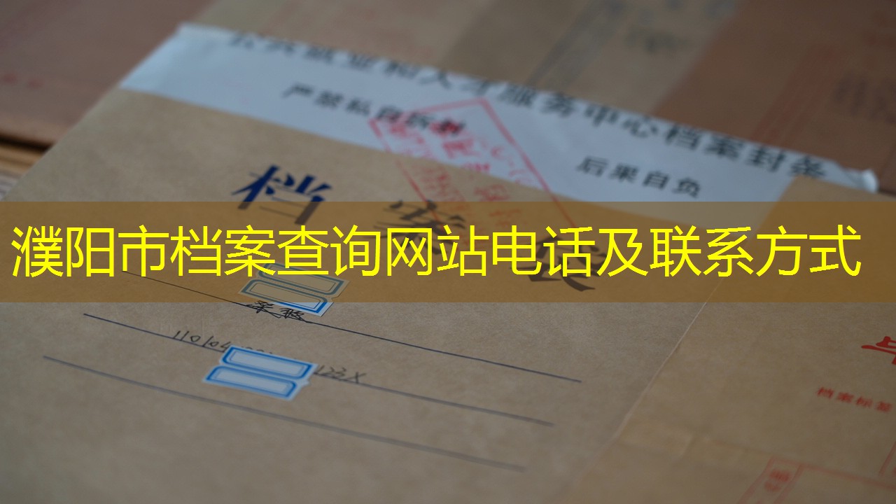 档案查询