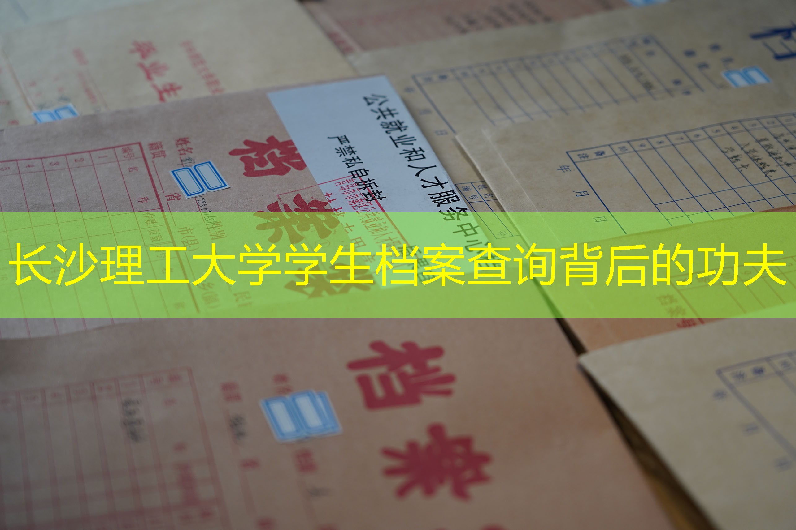 档案查询