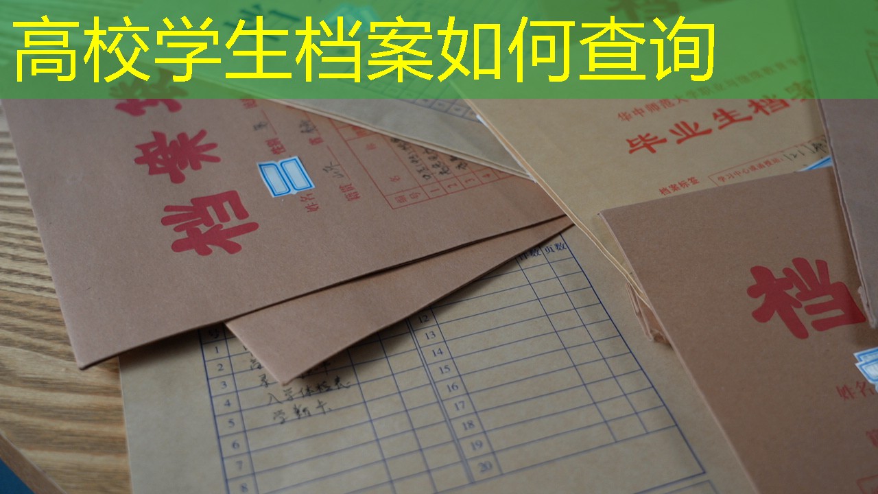 档案查询
