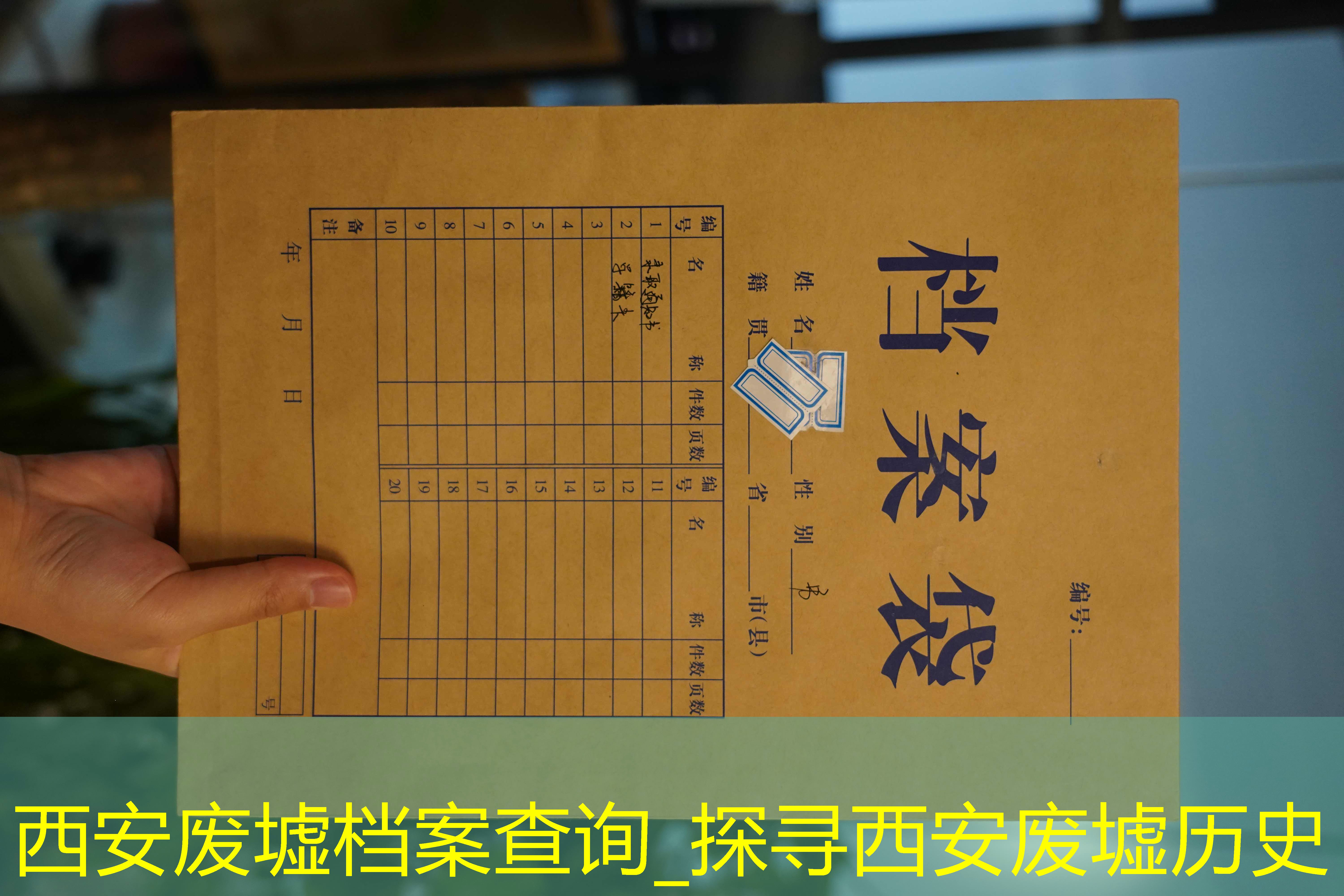 档案查询