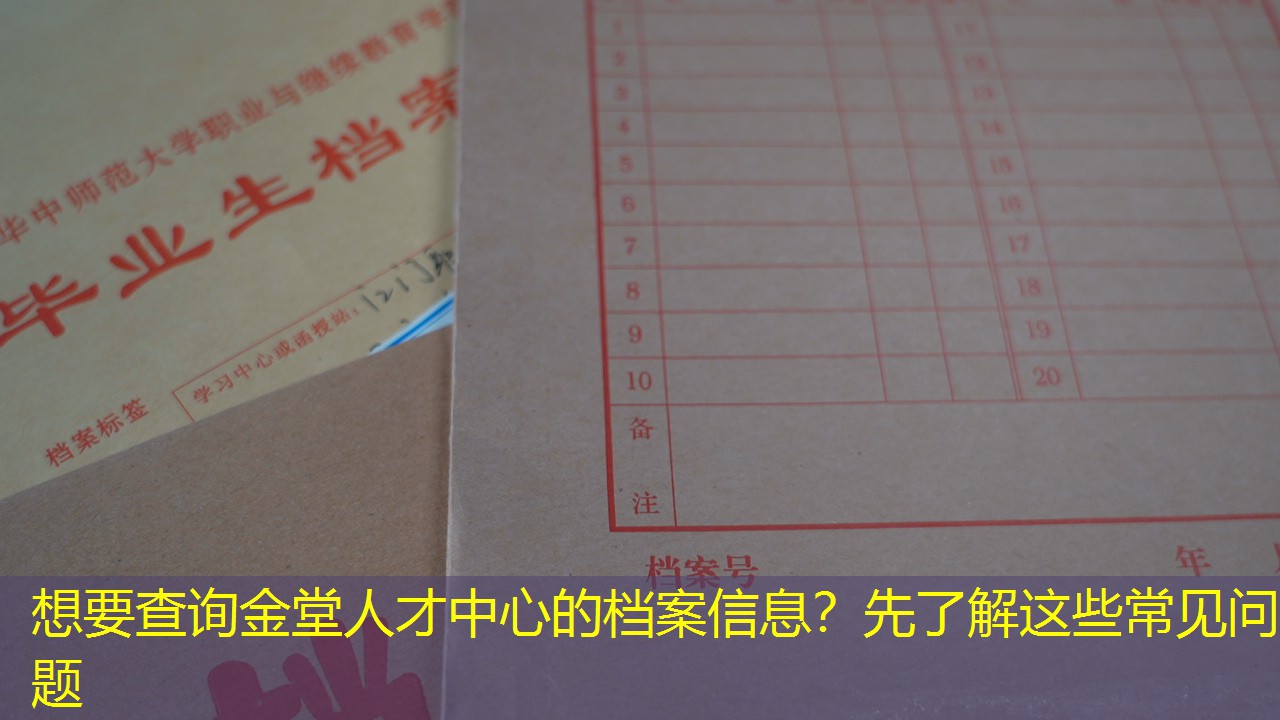 档案查询
