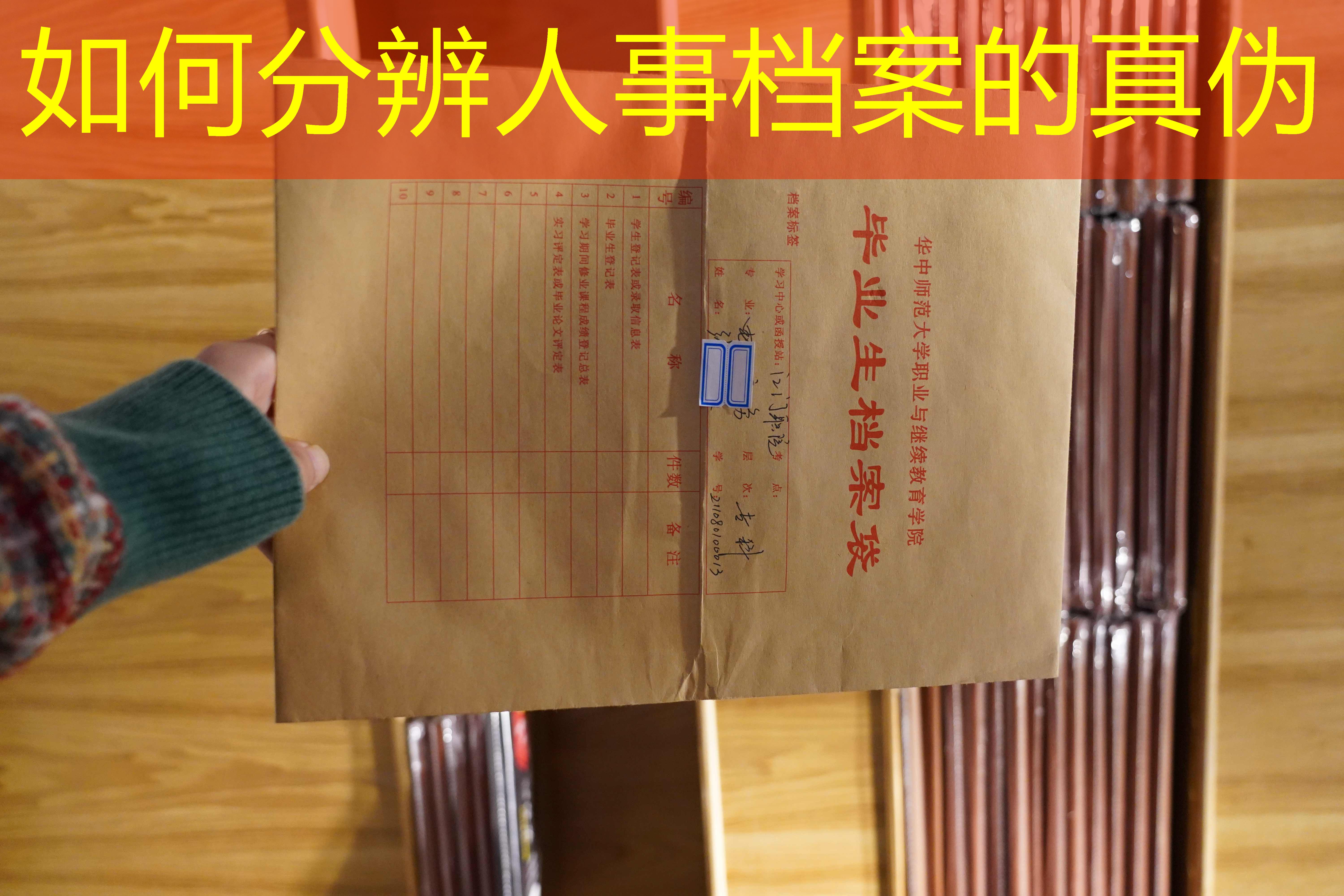 档案查询