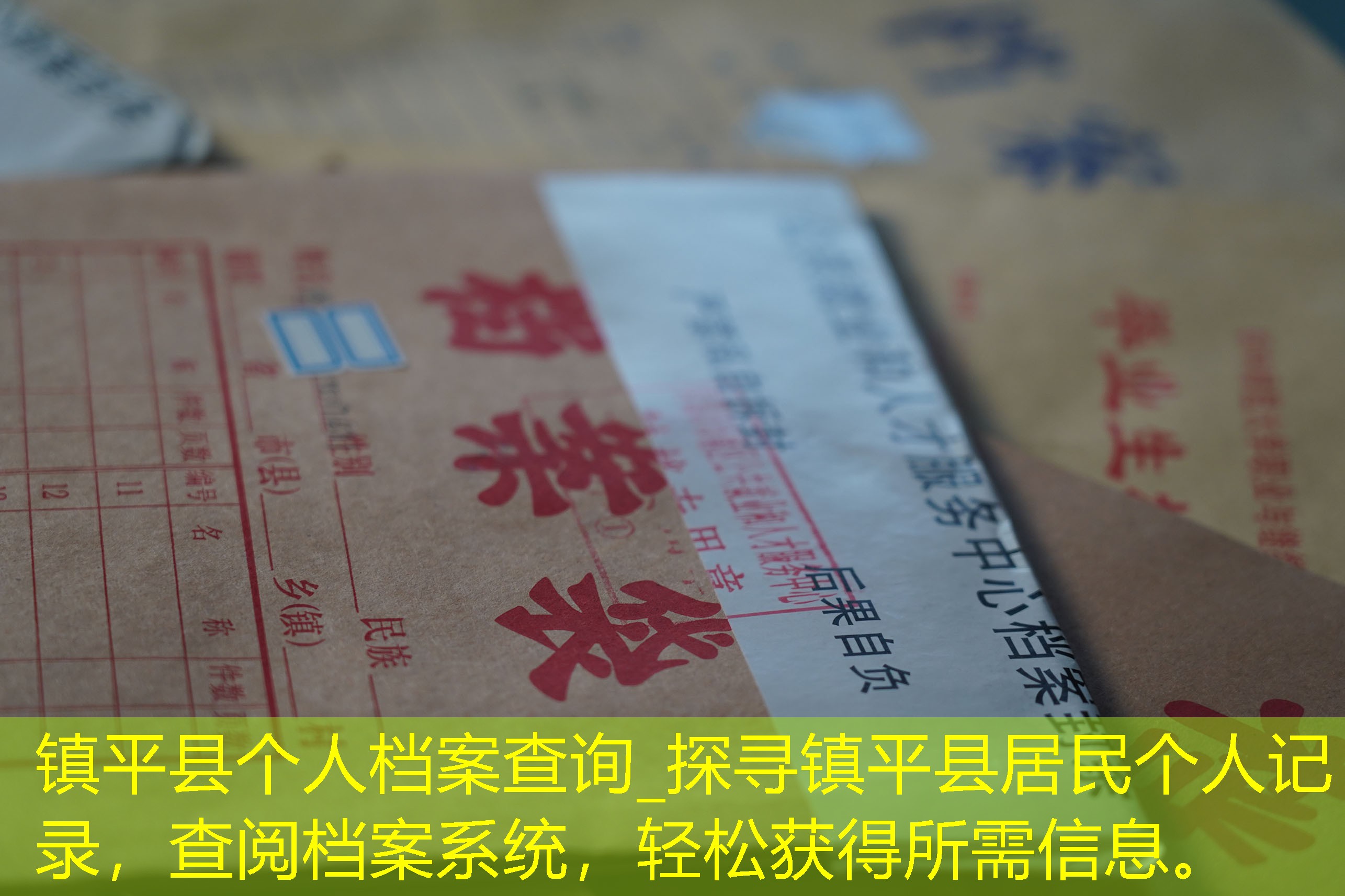 档案查询