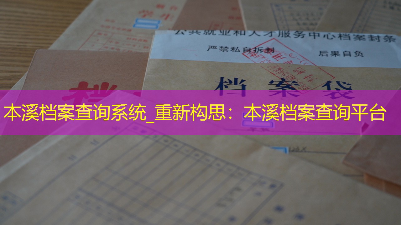 档案查询