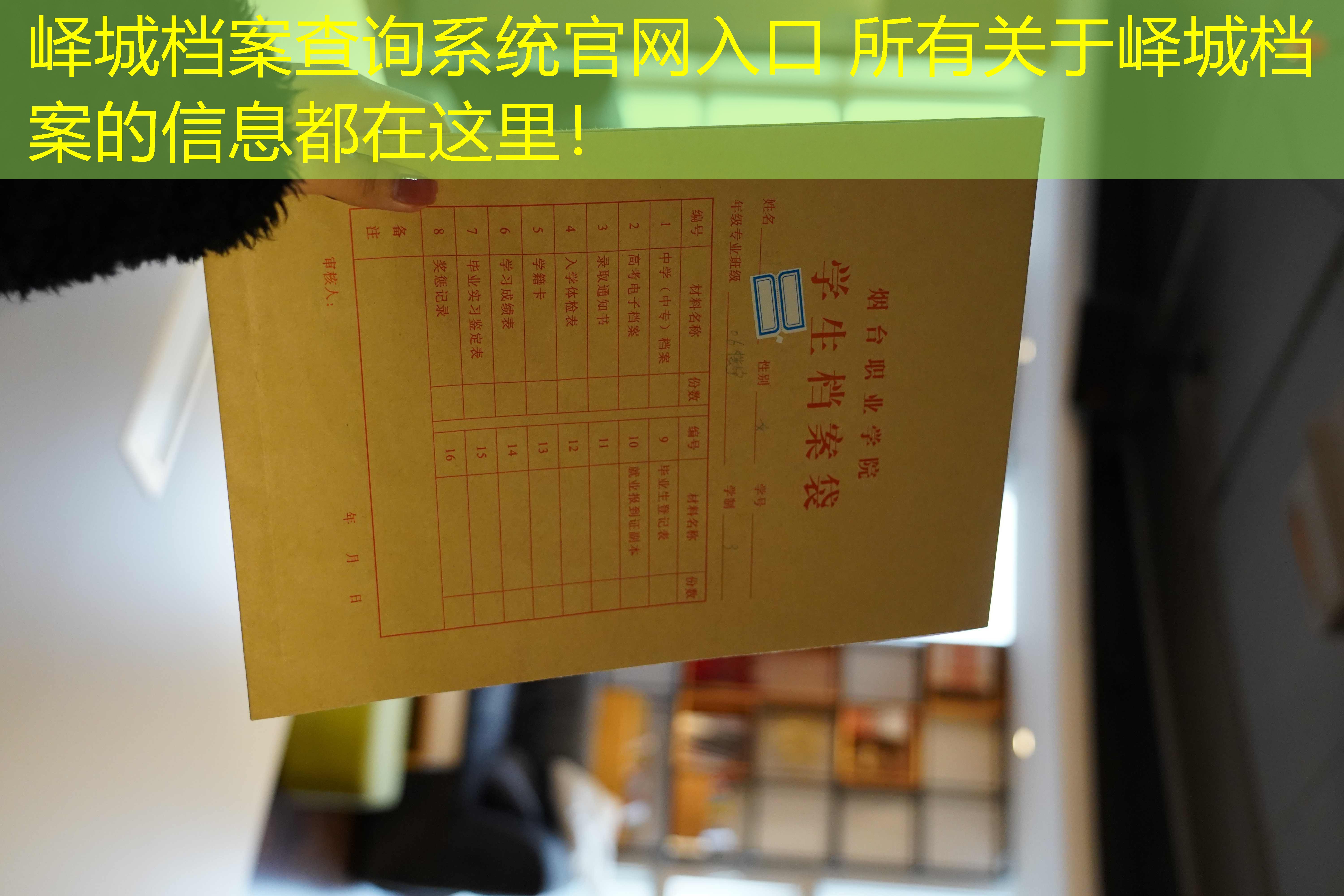 档案查询