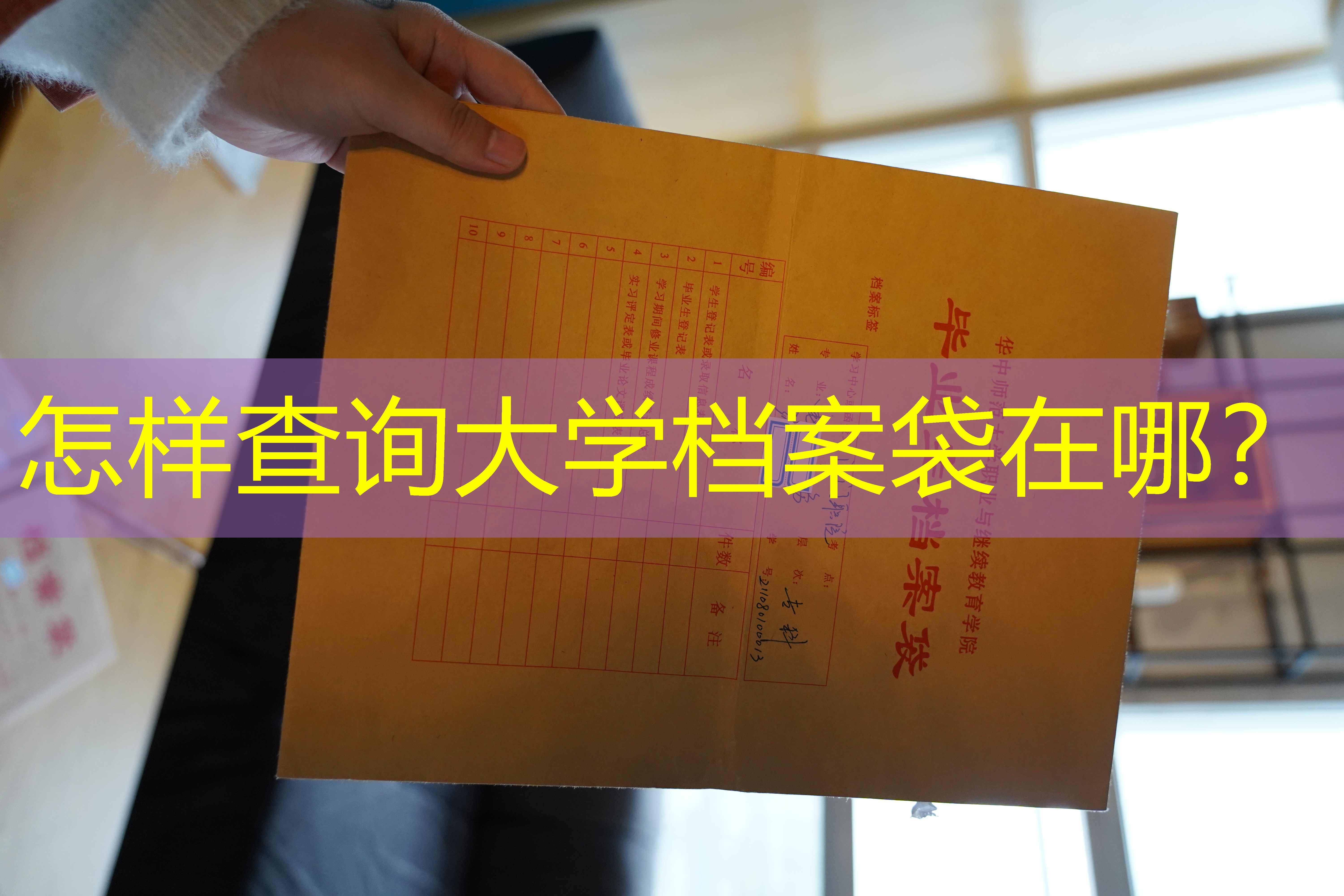档案查询