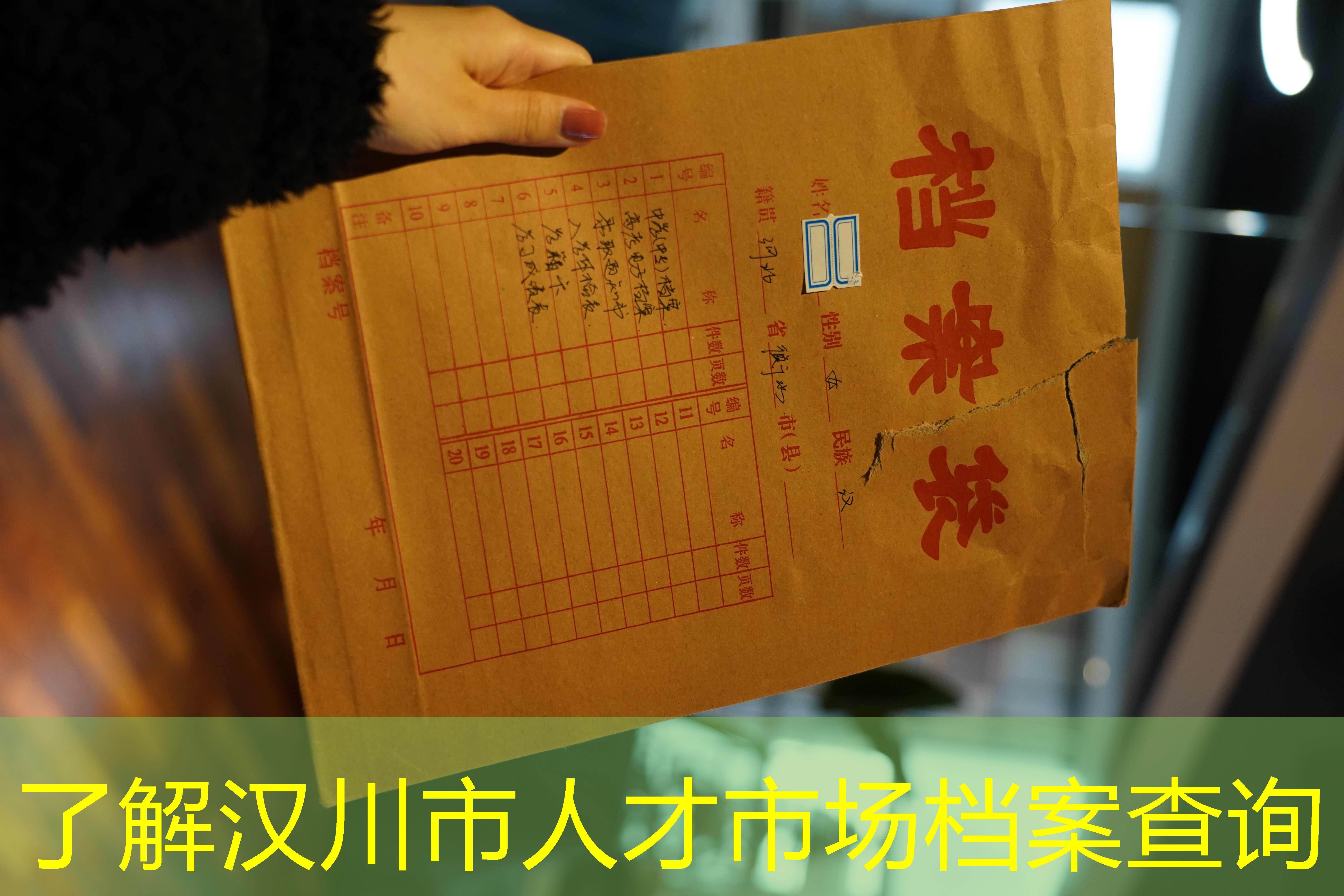 档案查询