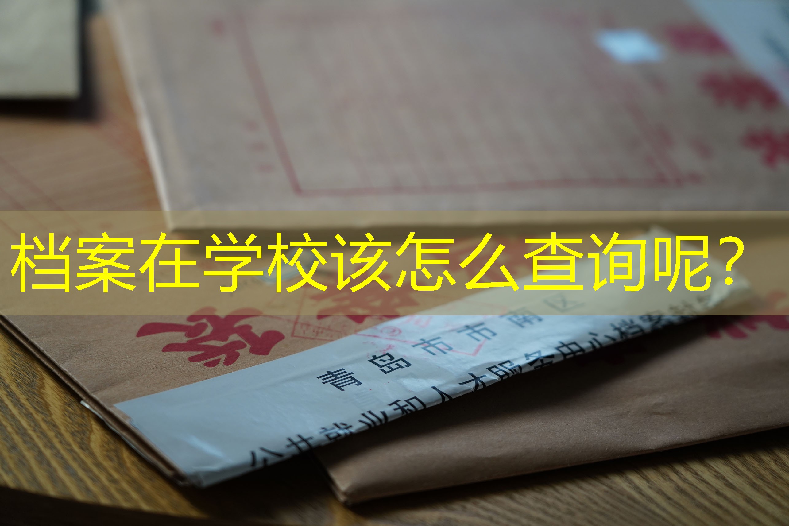 档案查询
