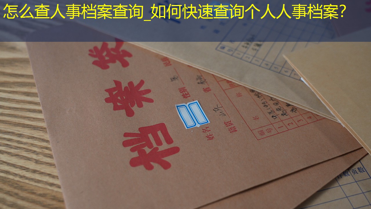 档案查询