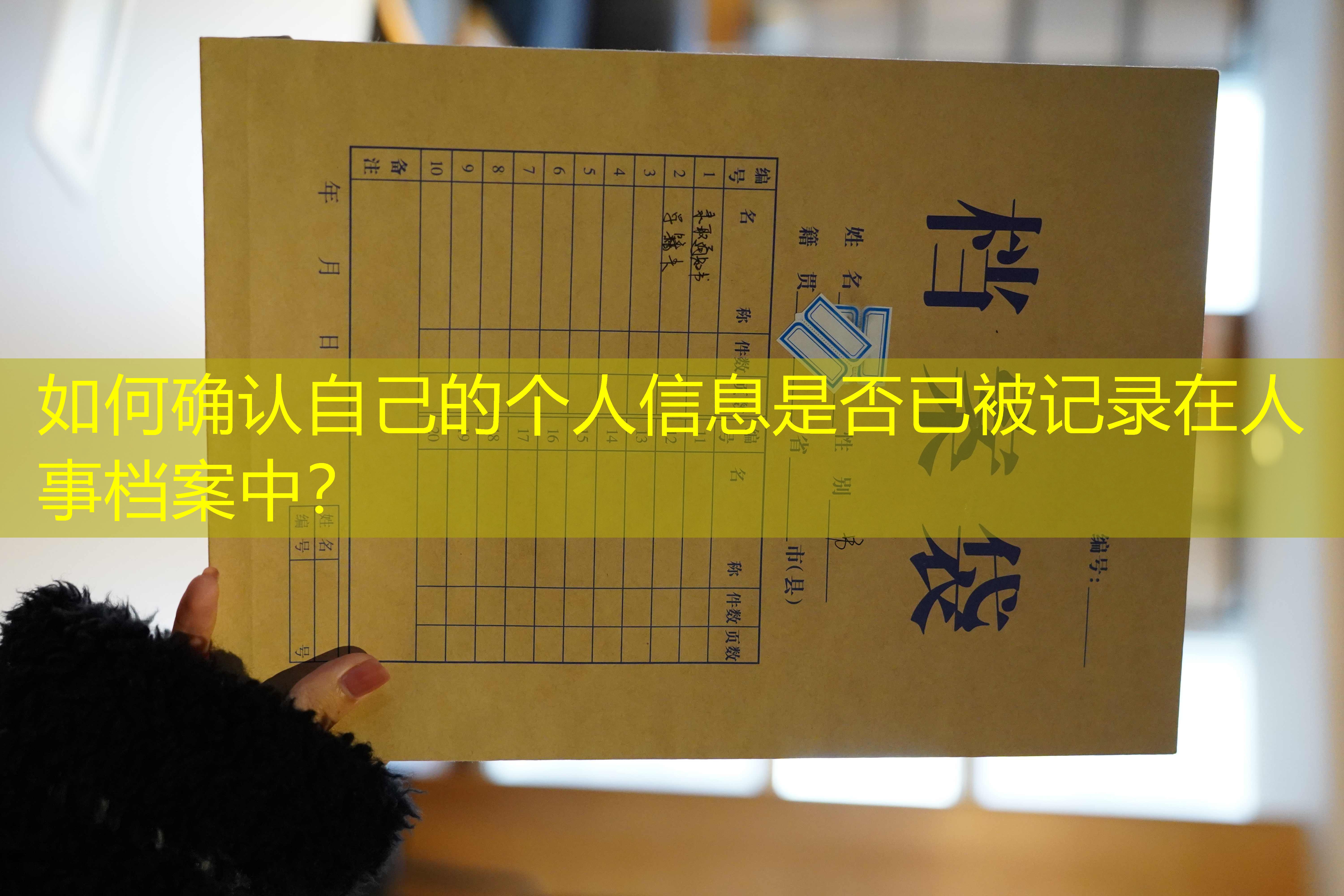 档案查询