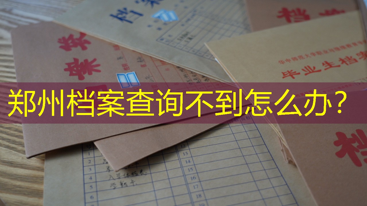 档案查询