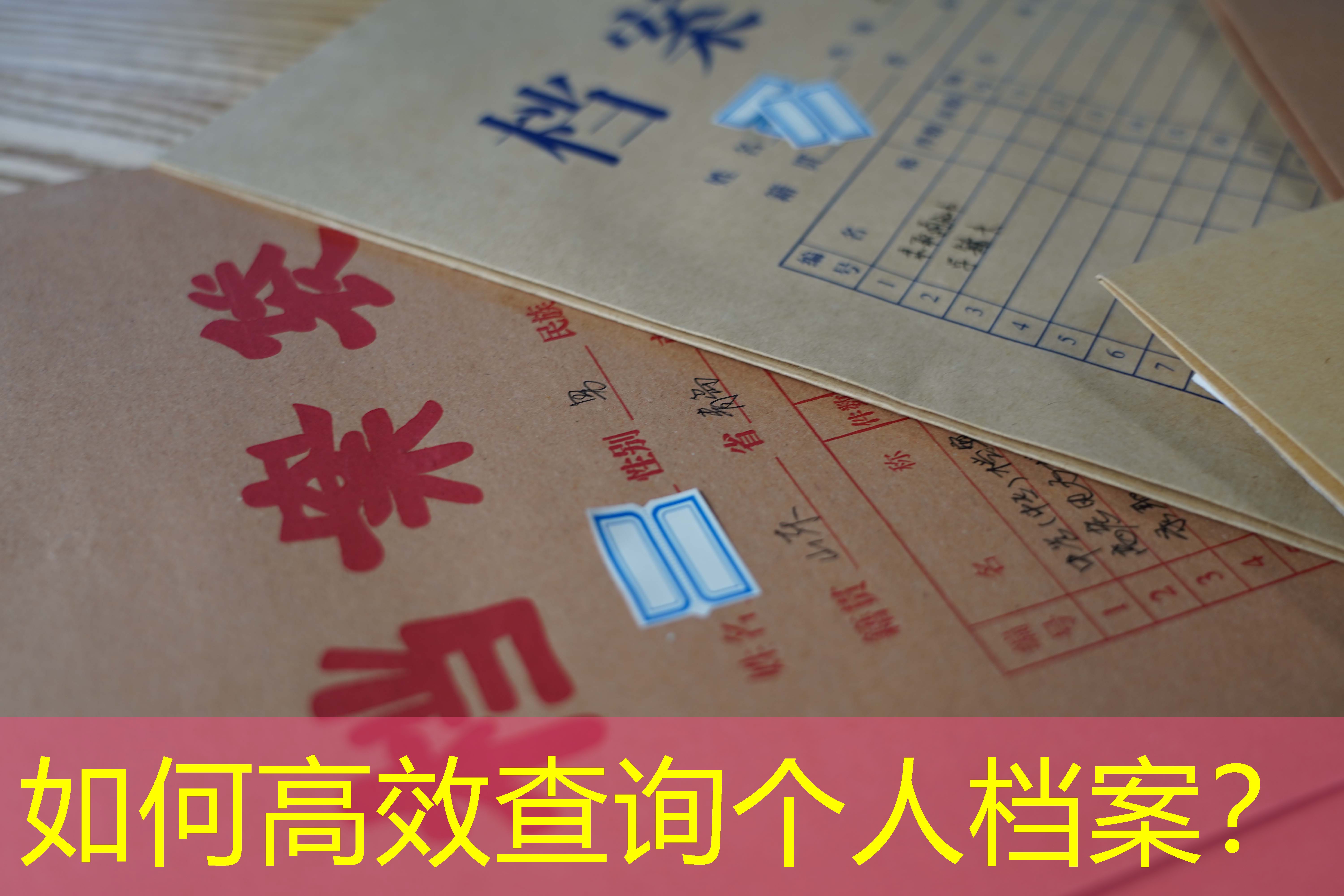 档案查询