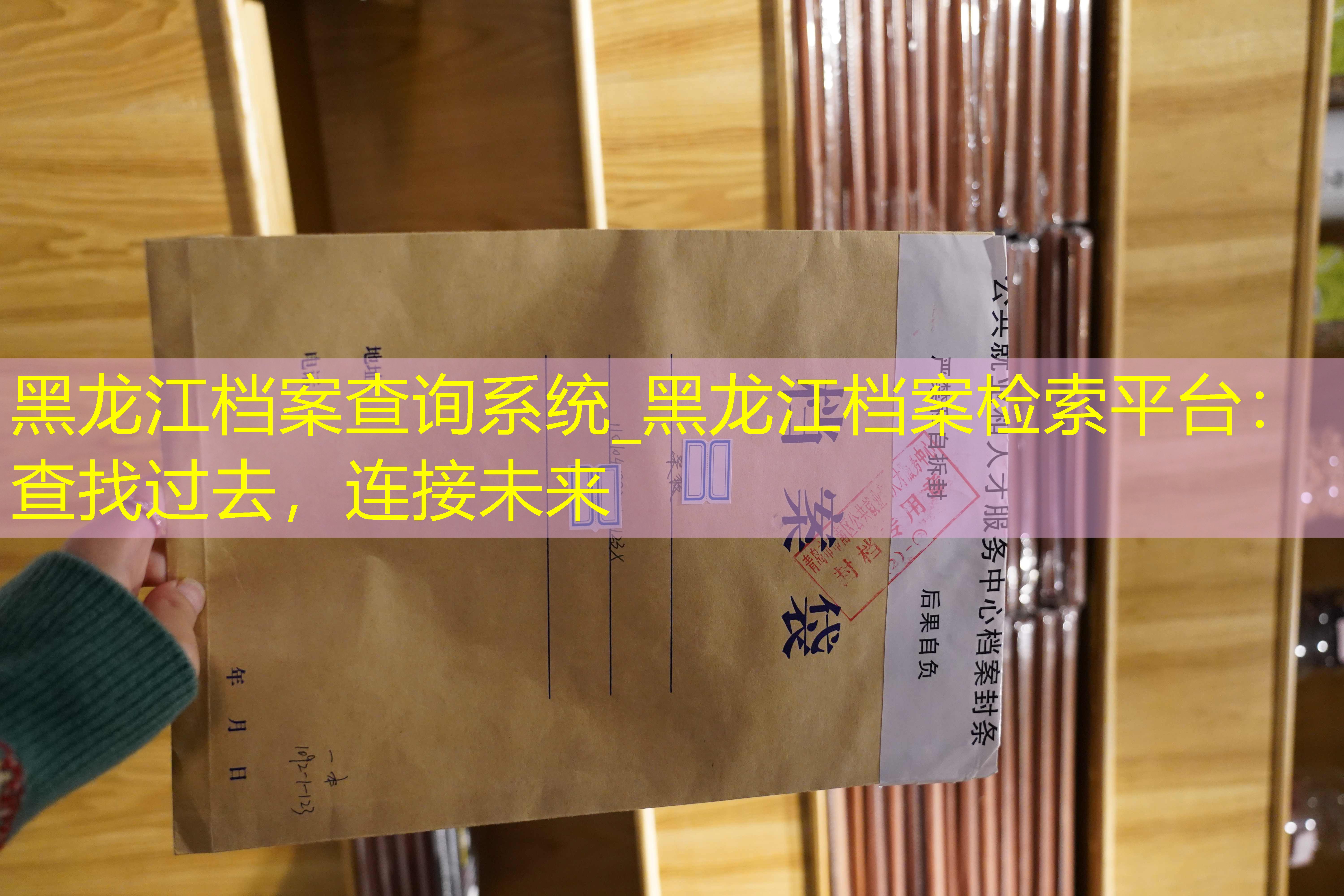 档案查询