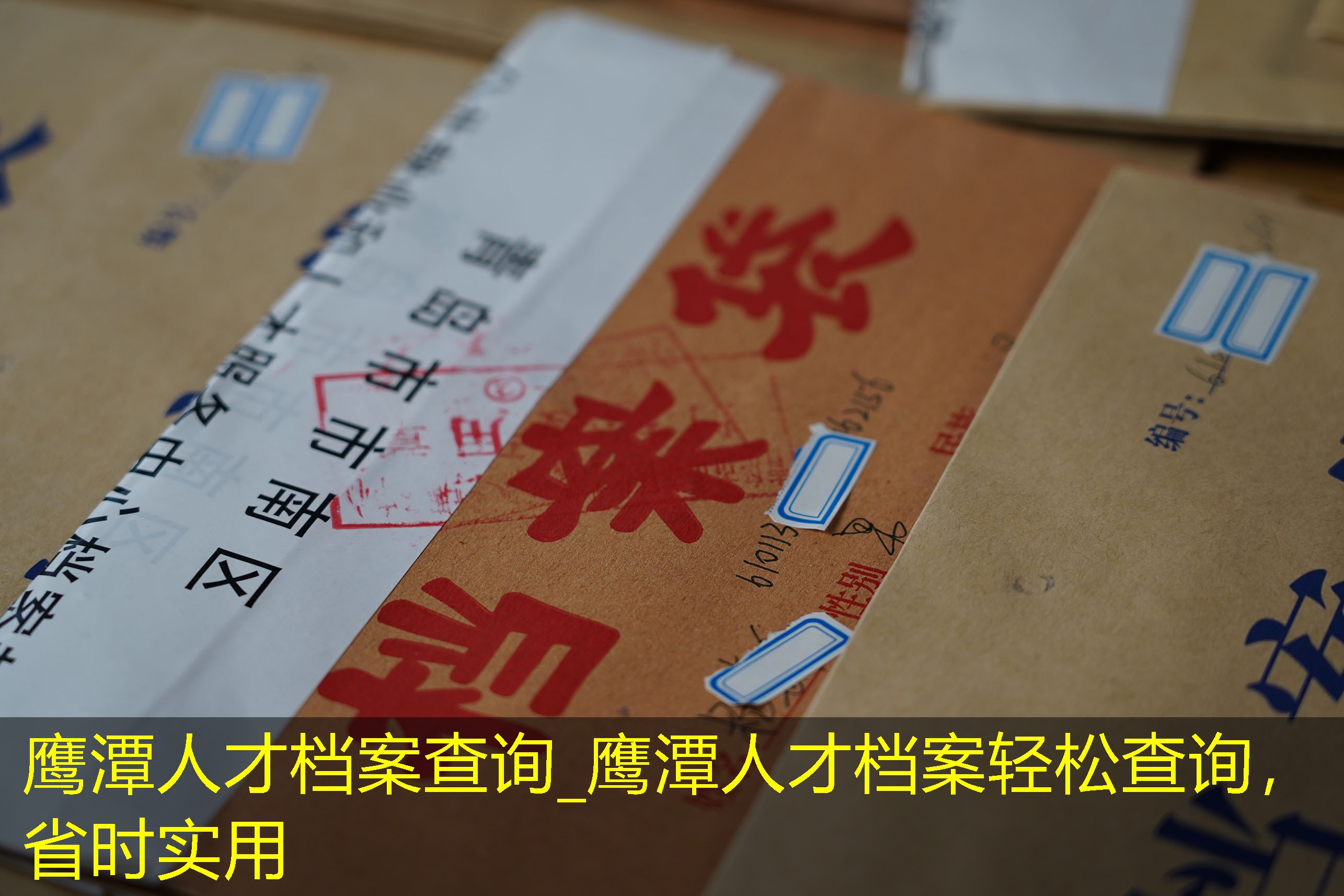 档案查询