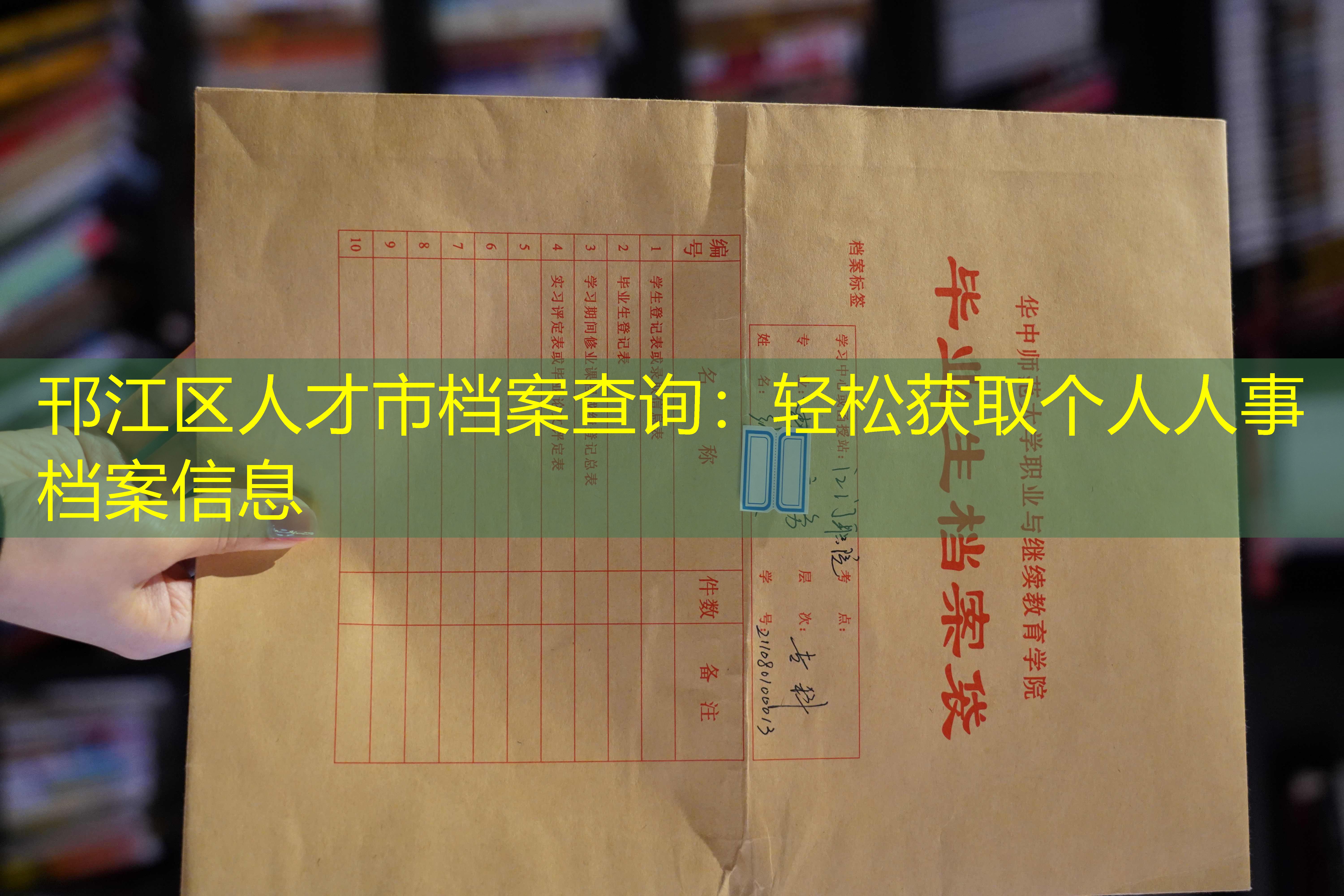 档案查询