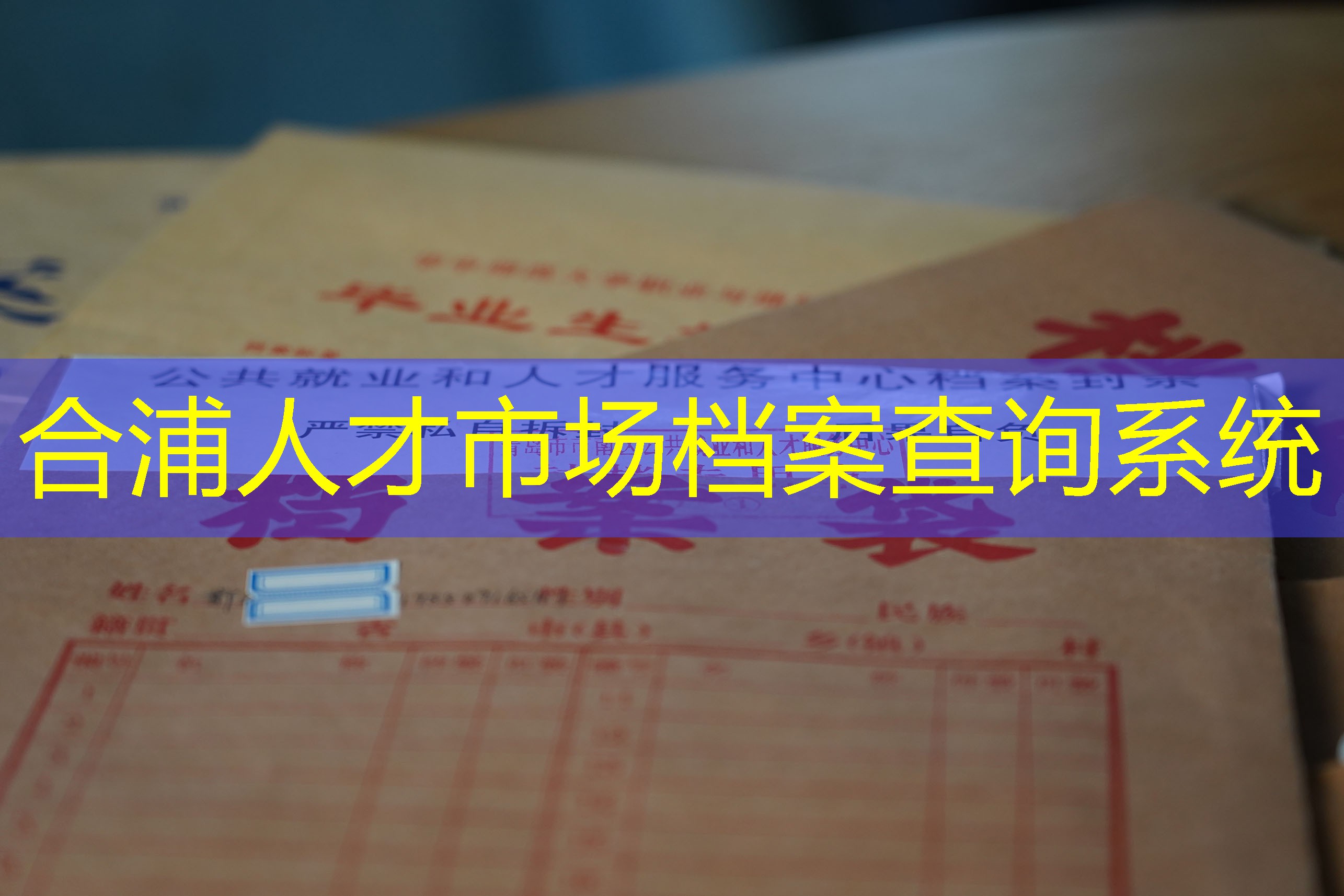 档案查询