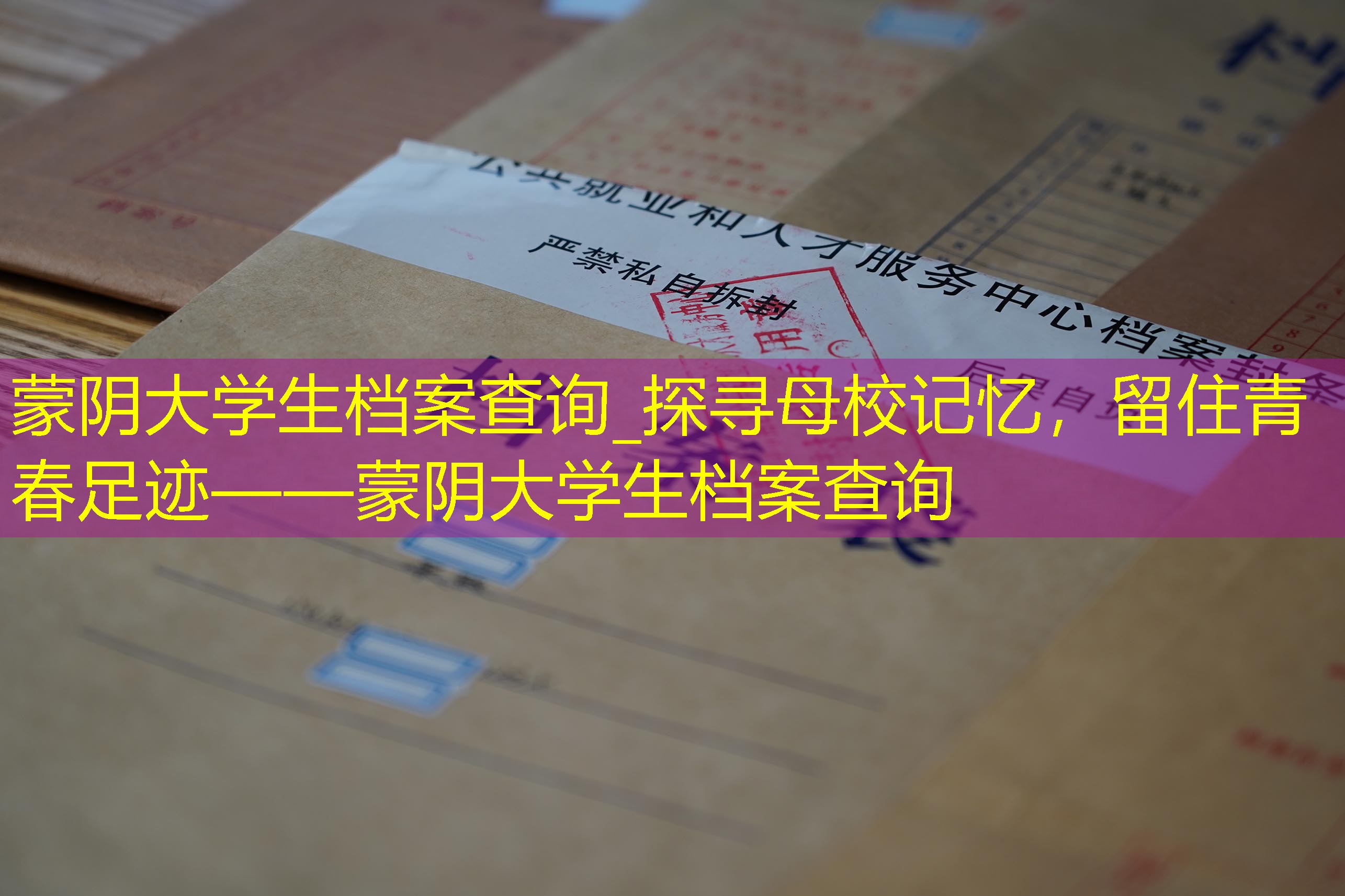 档案查询