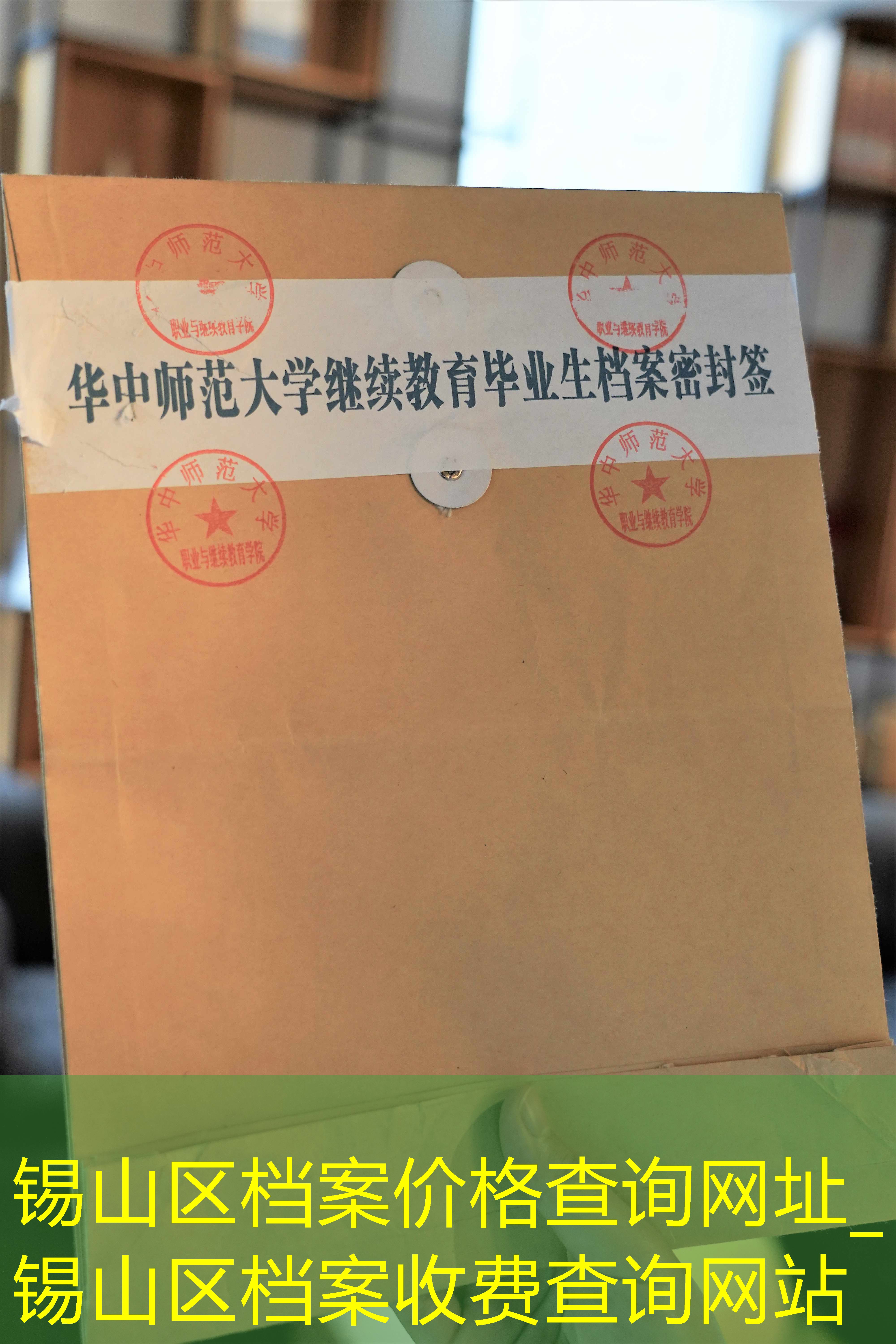 档案查询