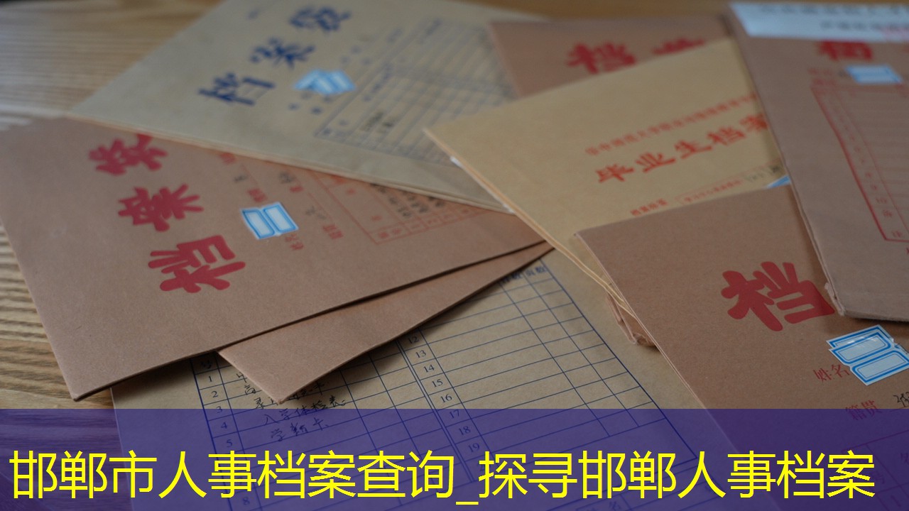 档案查询
