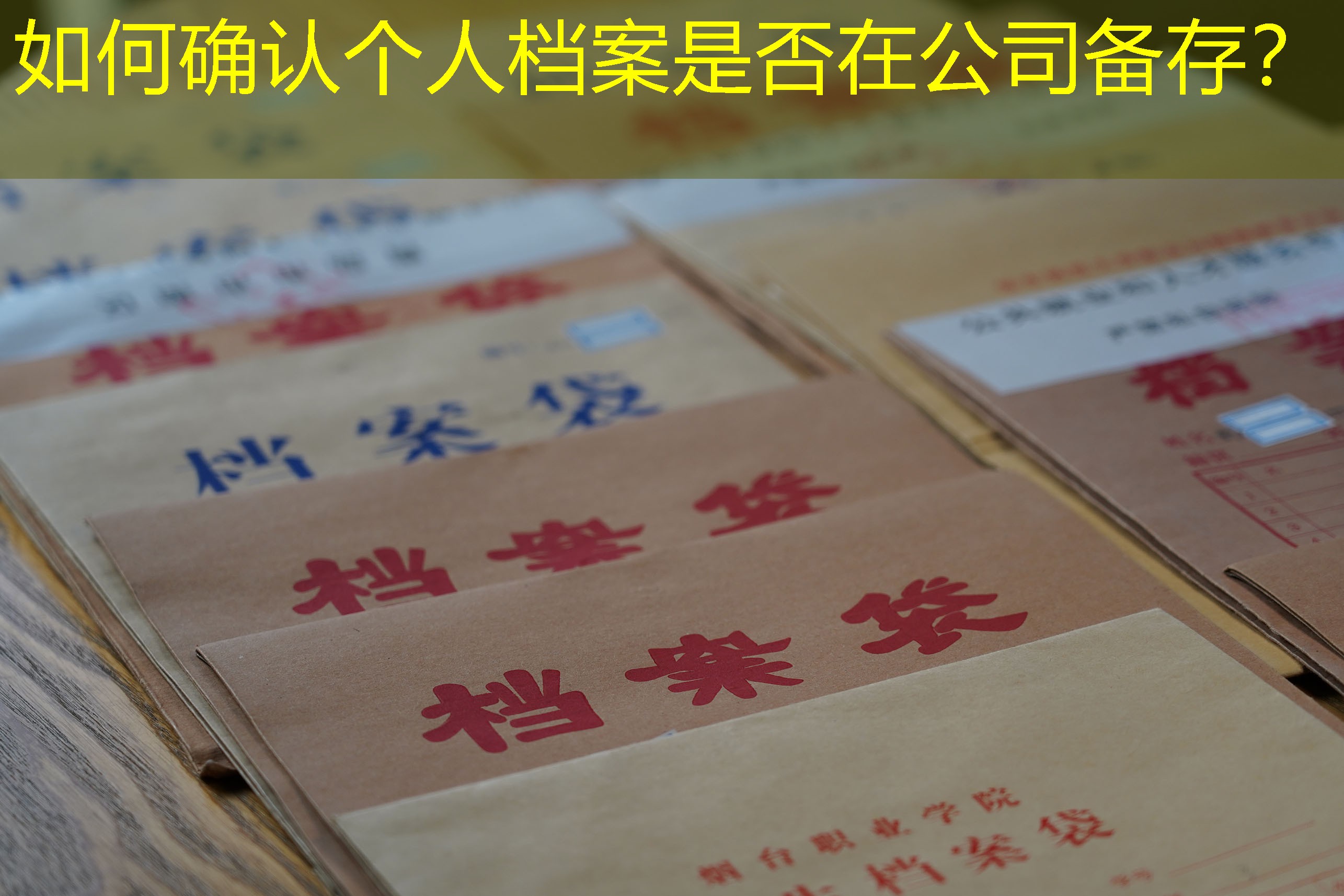 档案查询