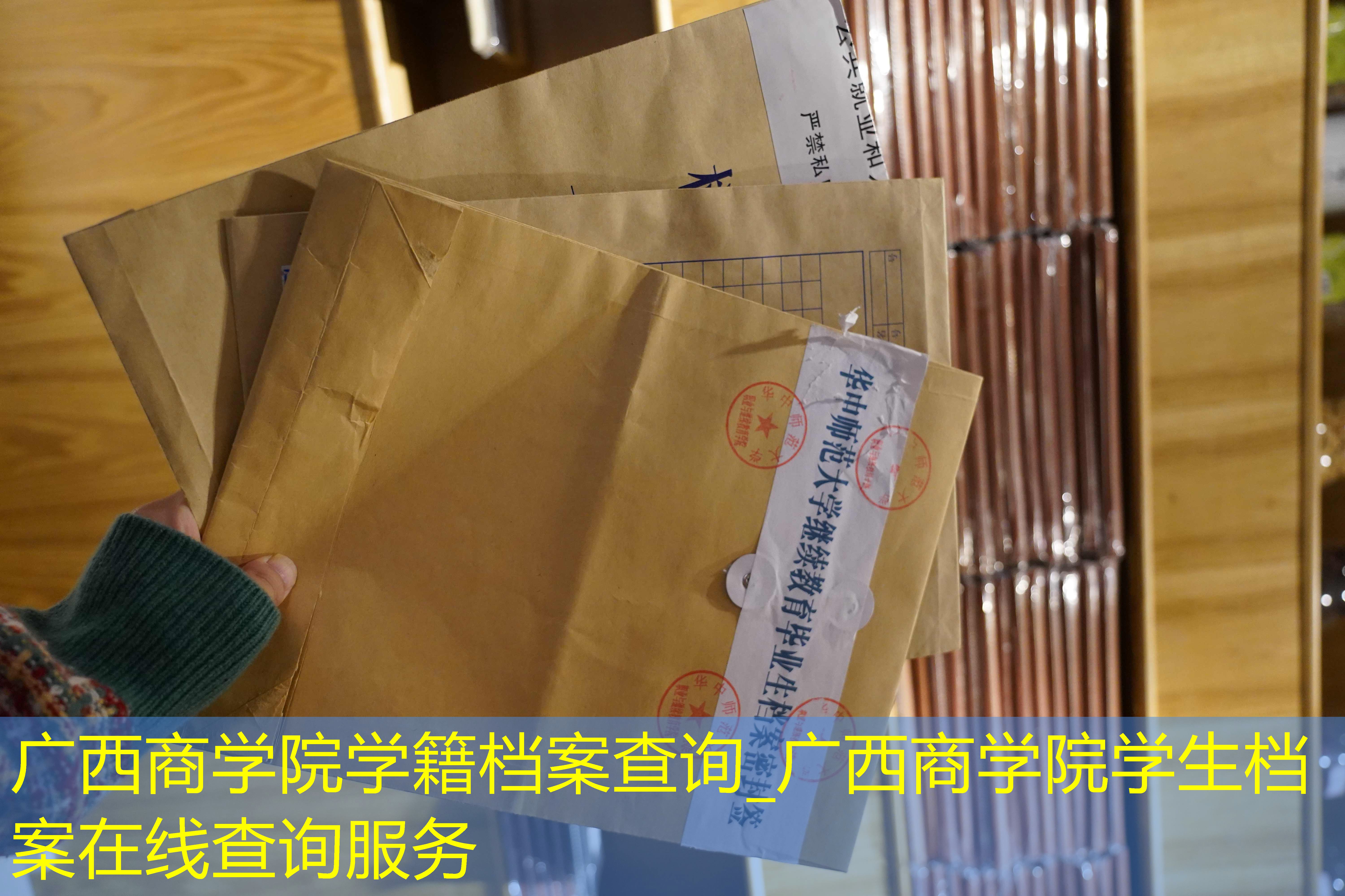 档案查询