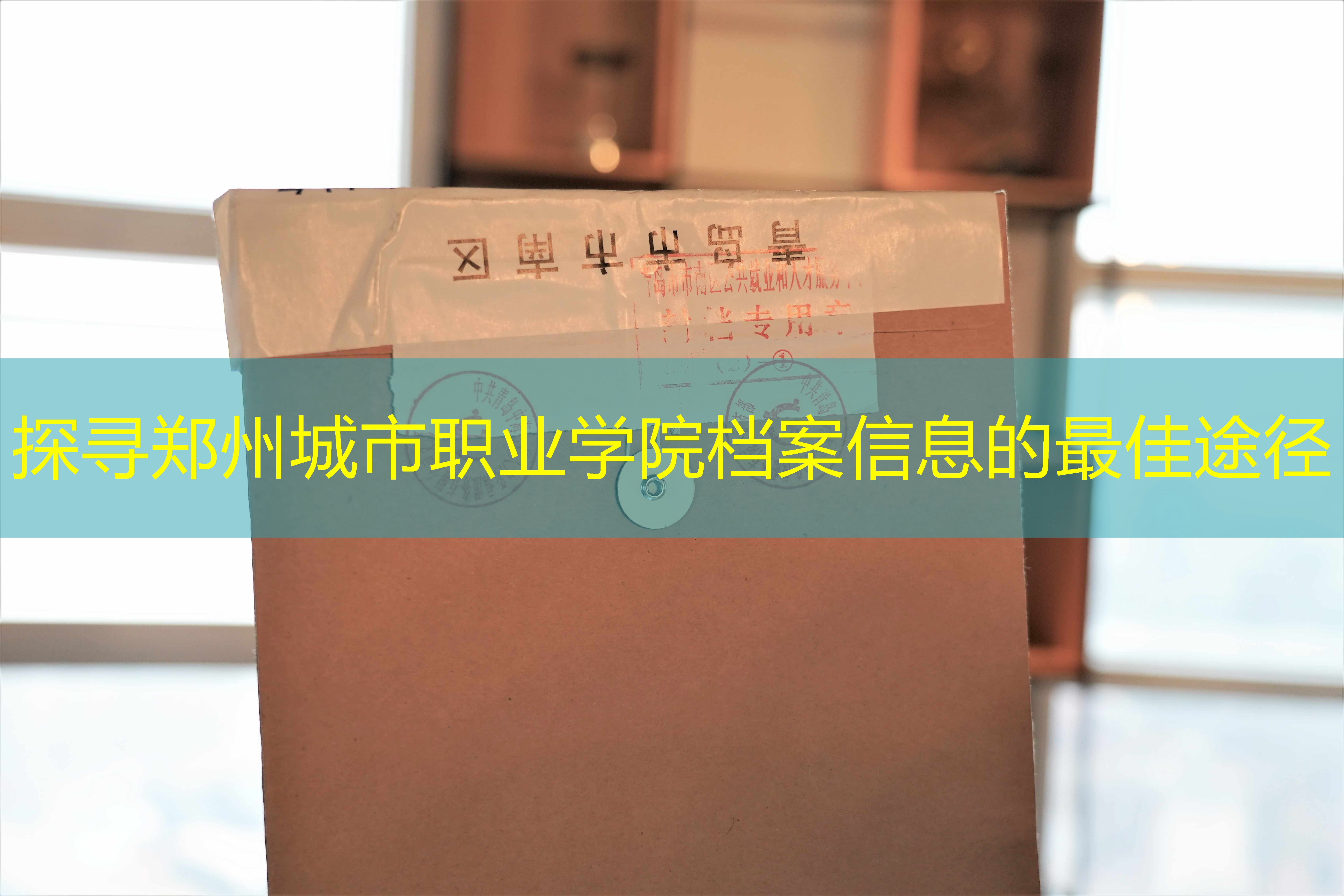 档案查询