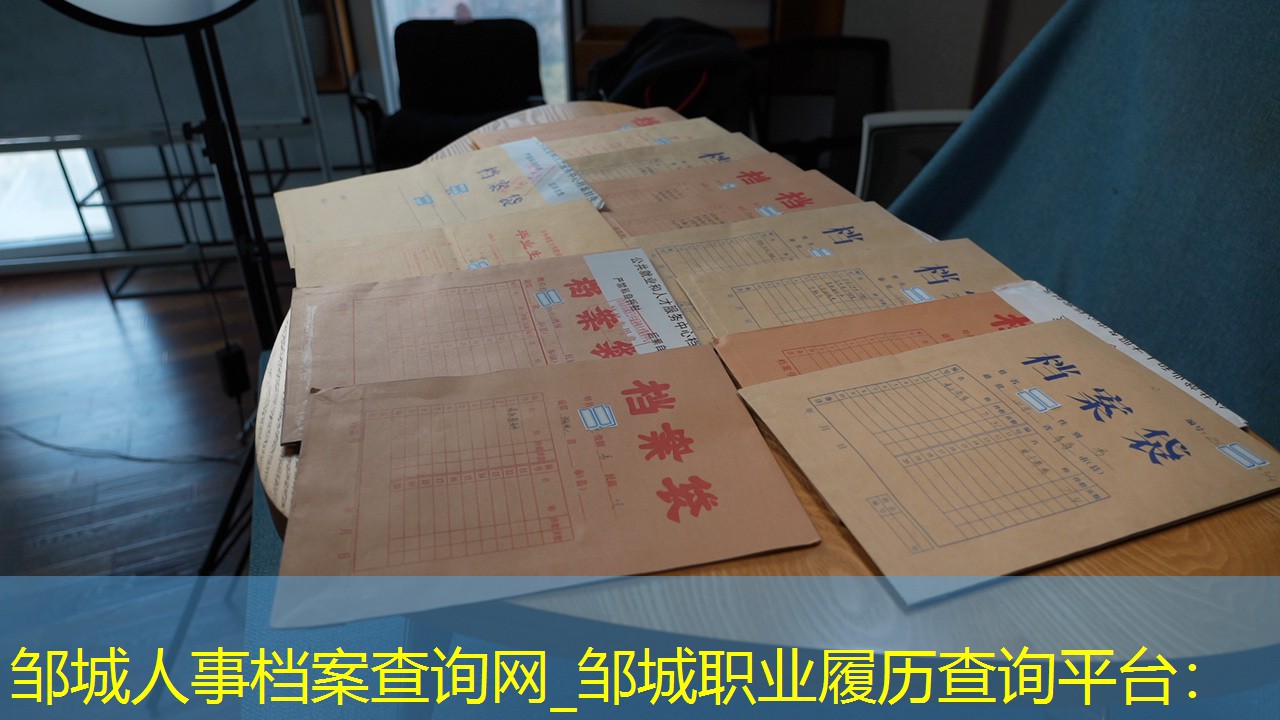 档案查询