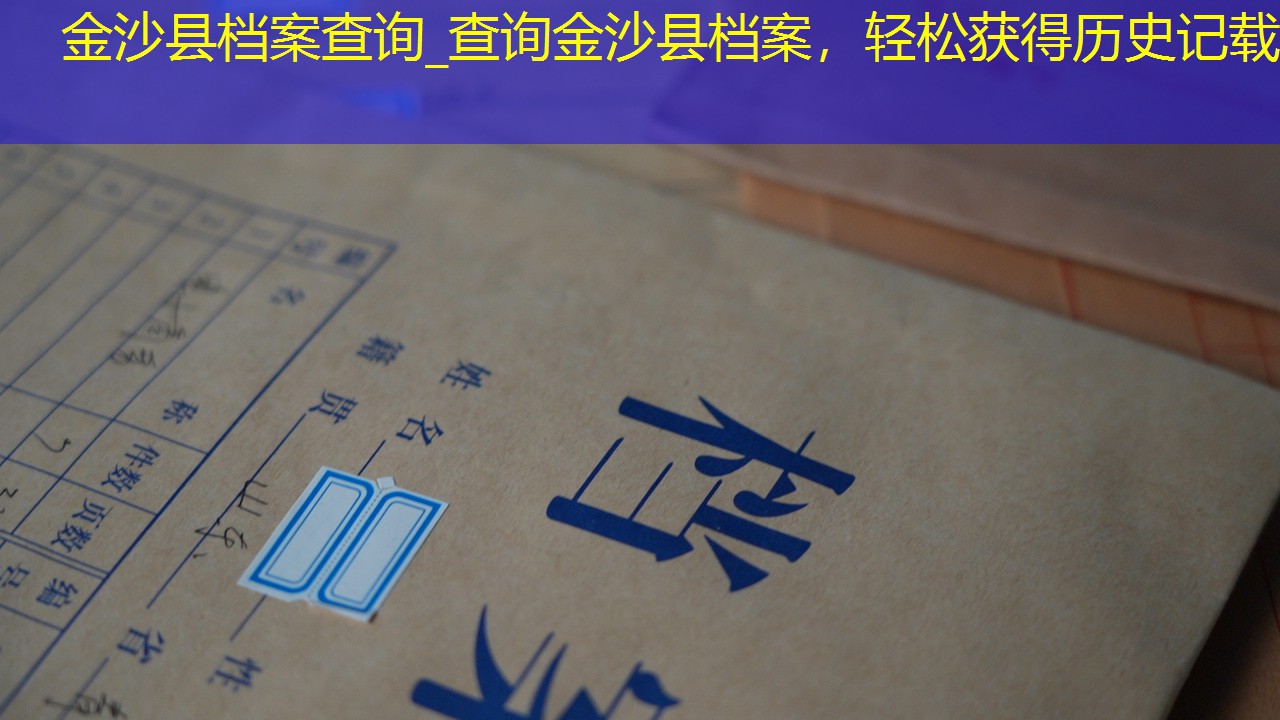 档案查询