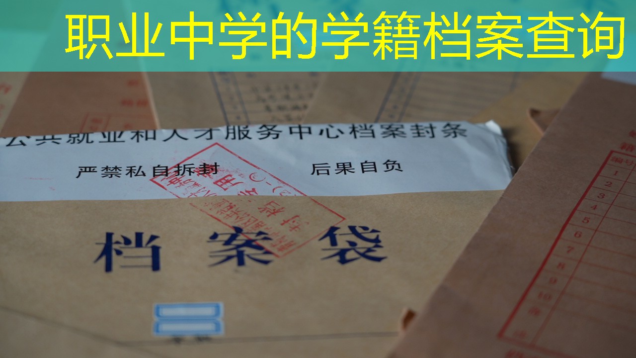 档案查询