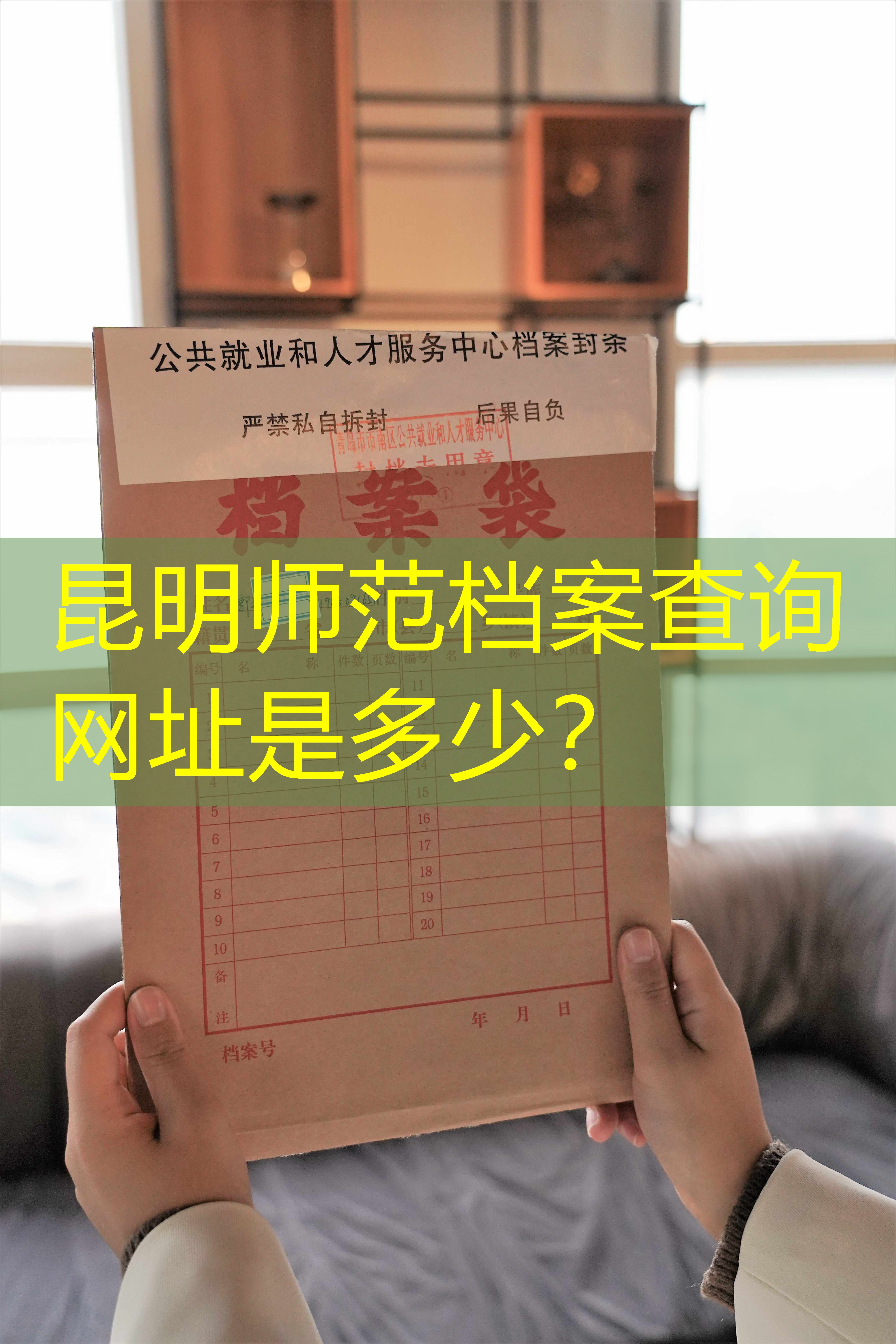 档案查询