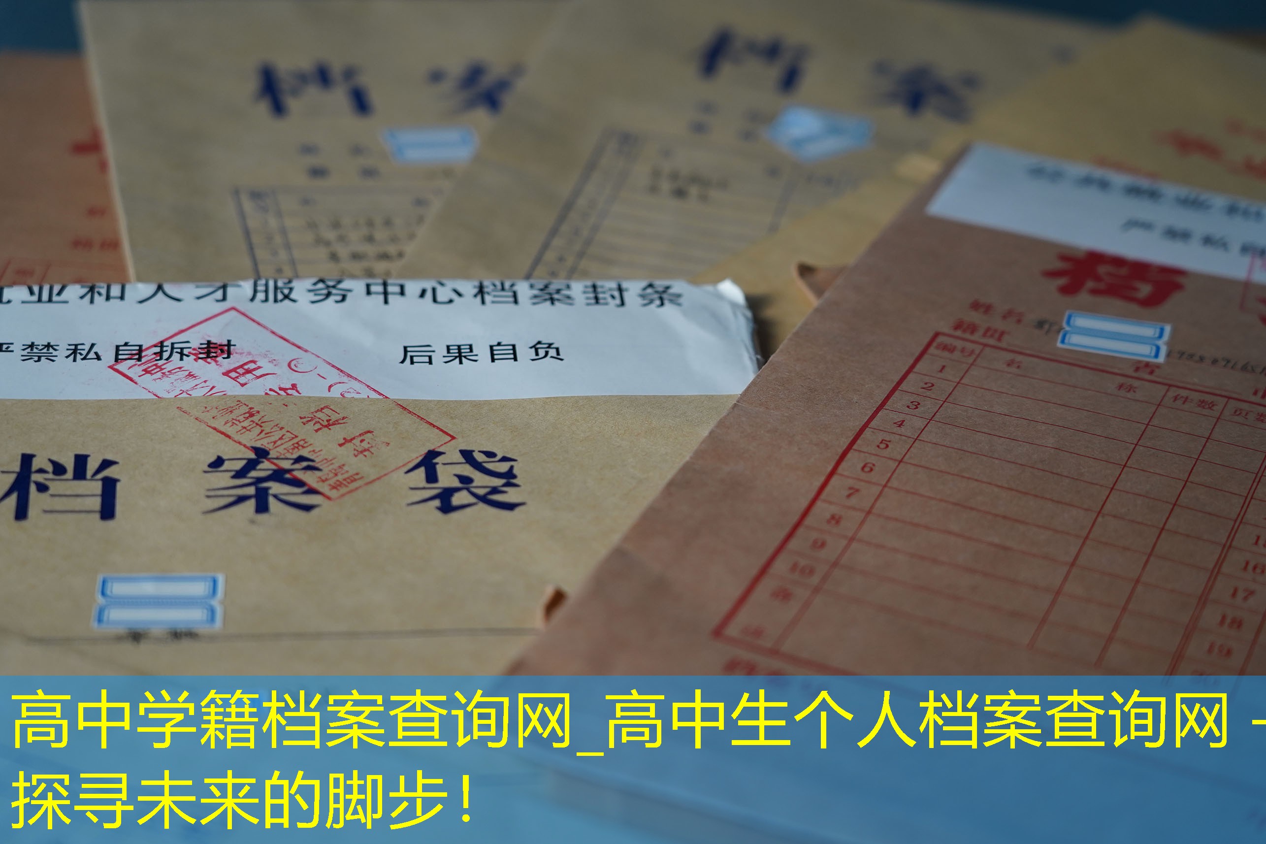 档案查询