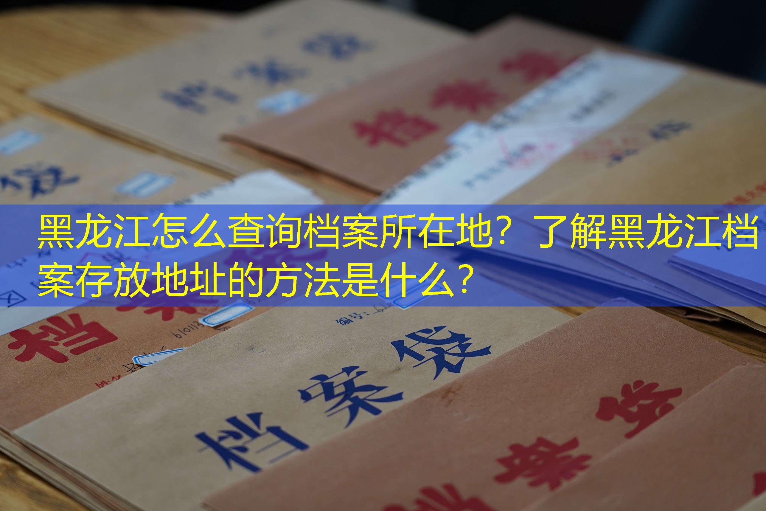 档案查询