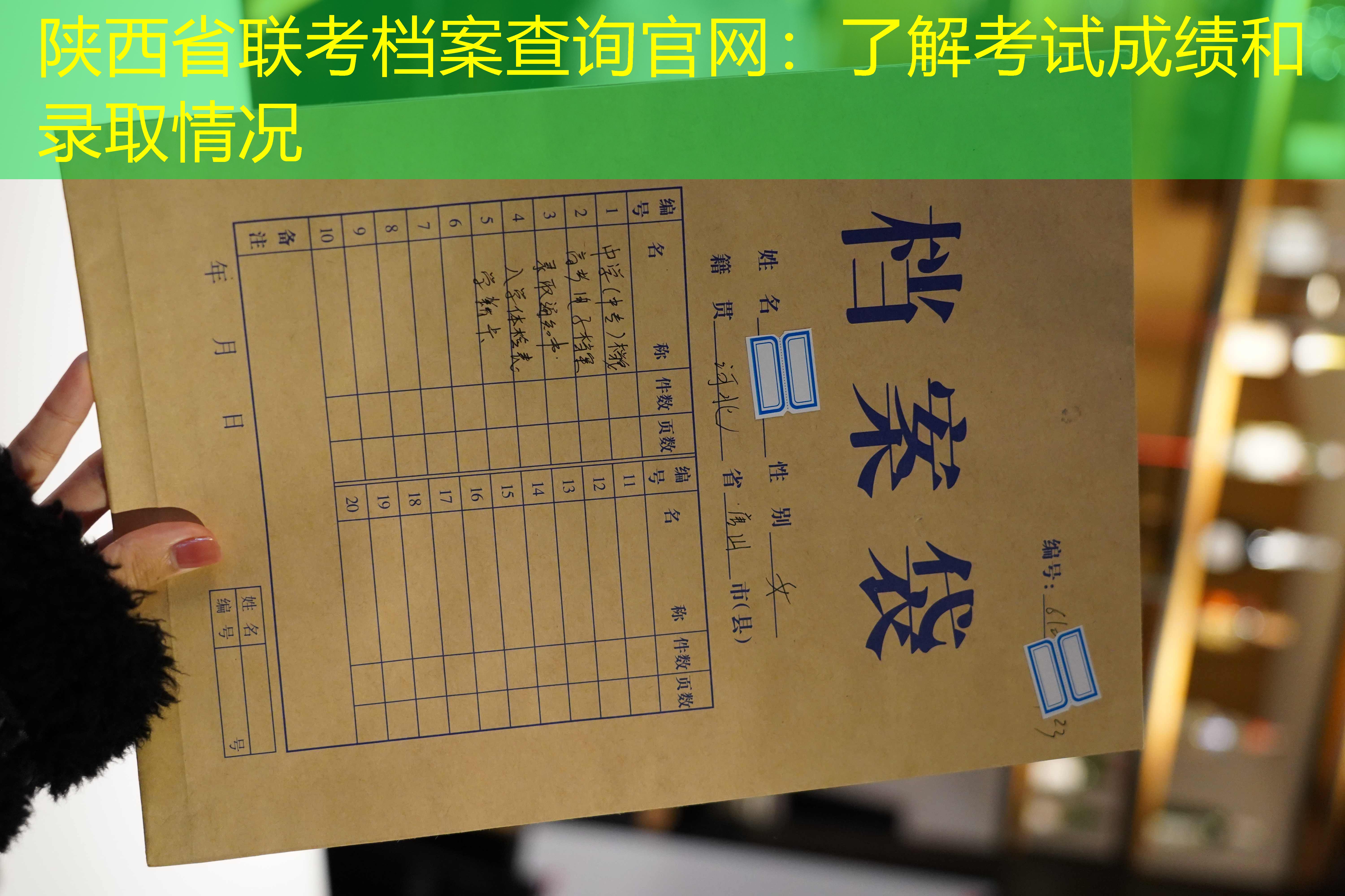 档案查询