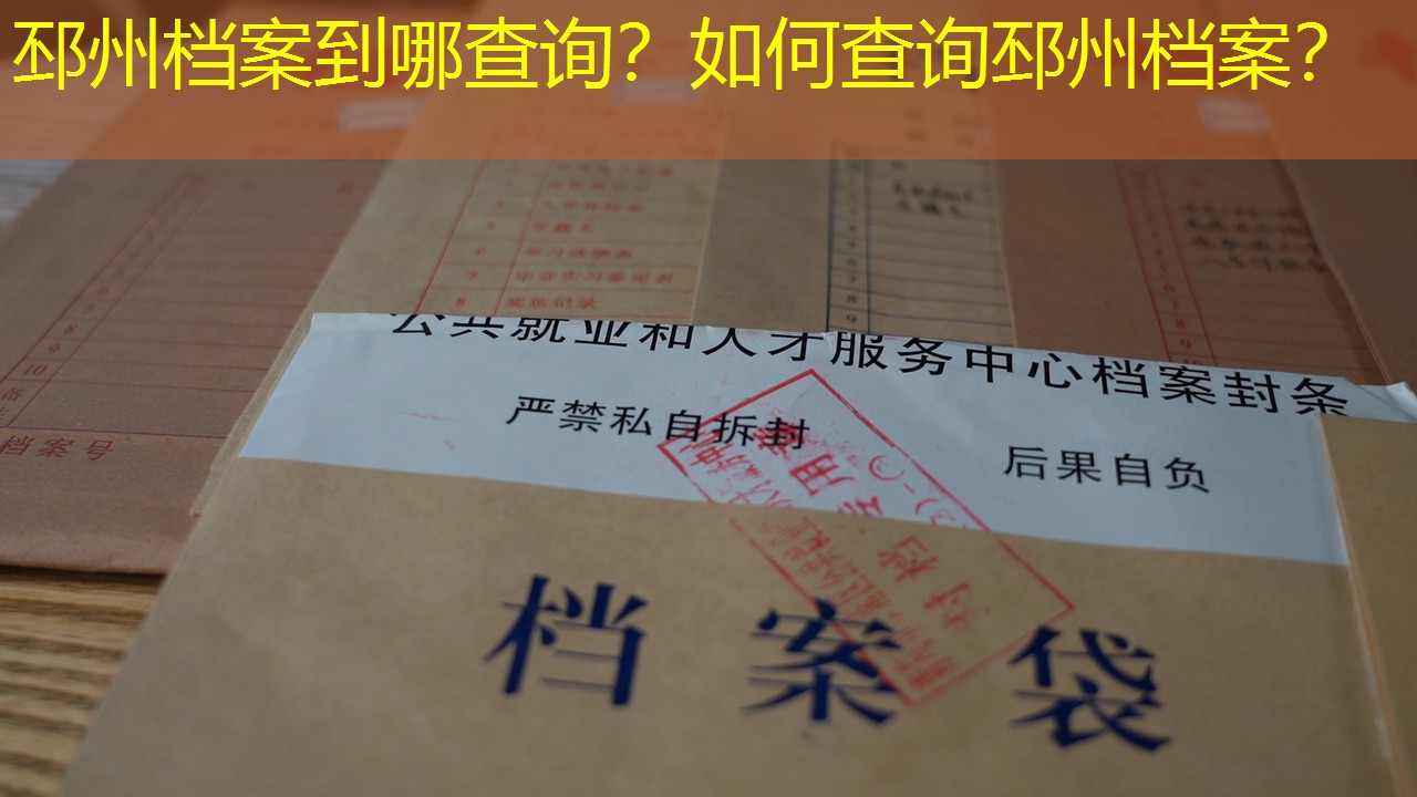 档案查询