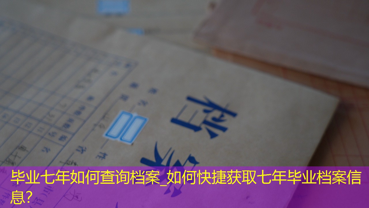 档案查询