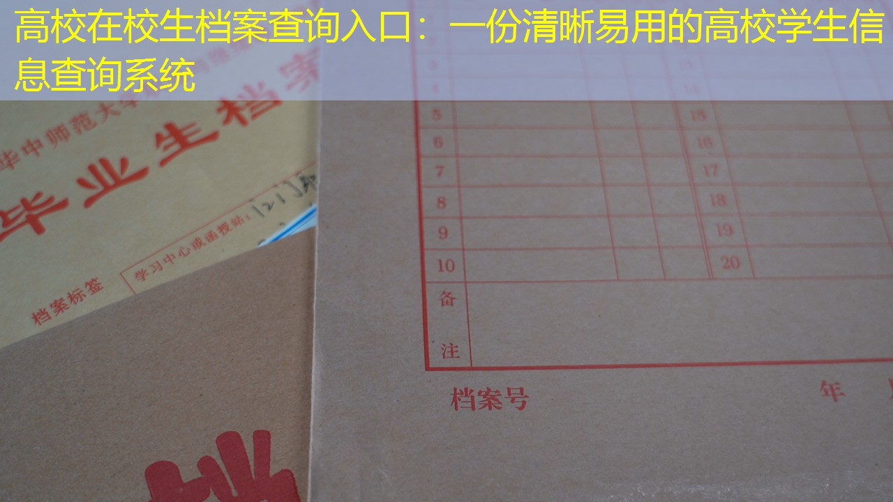档案查询