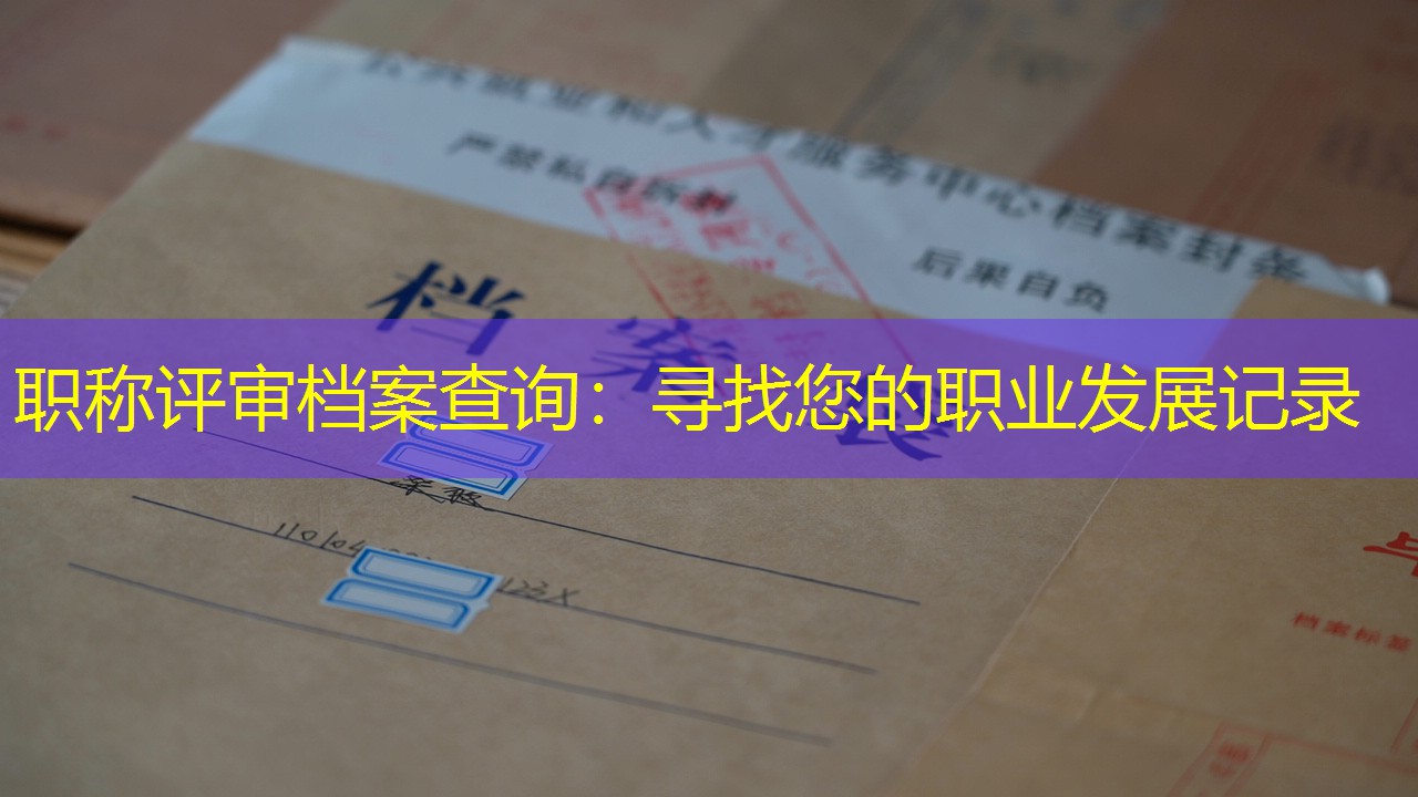 档案查询