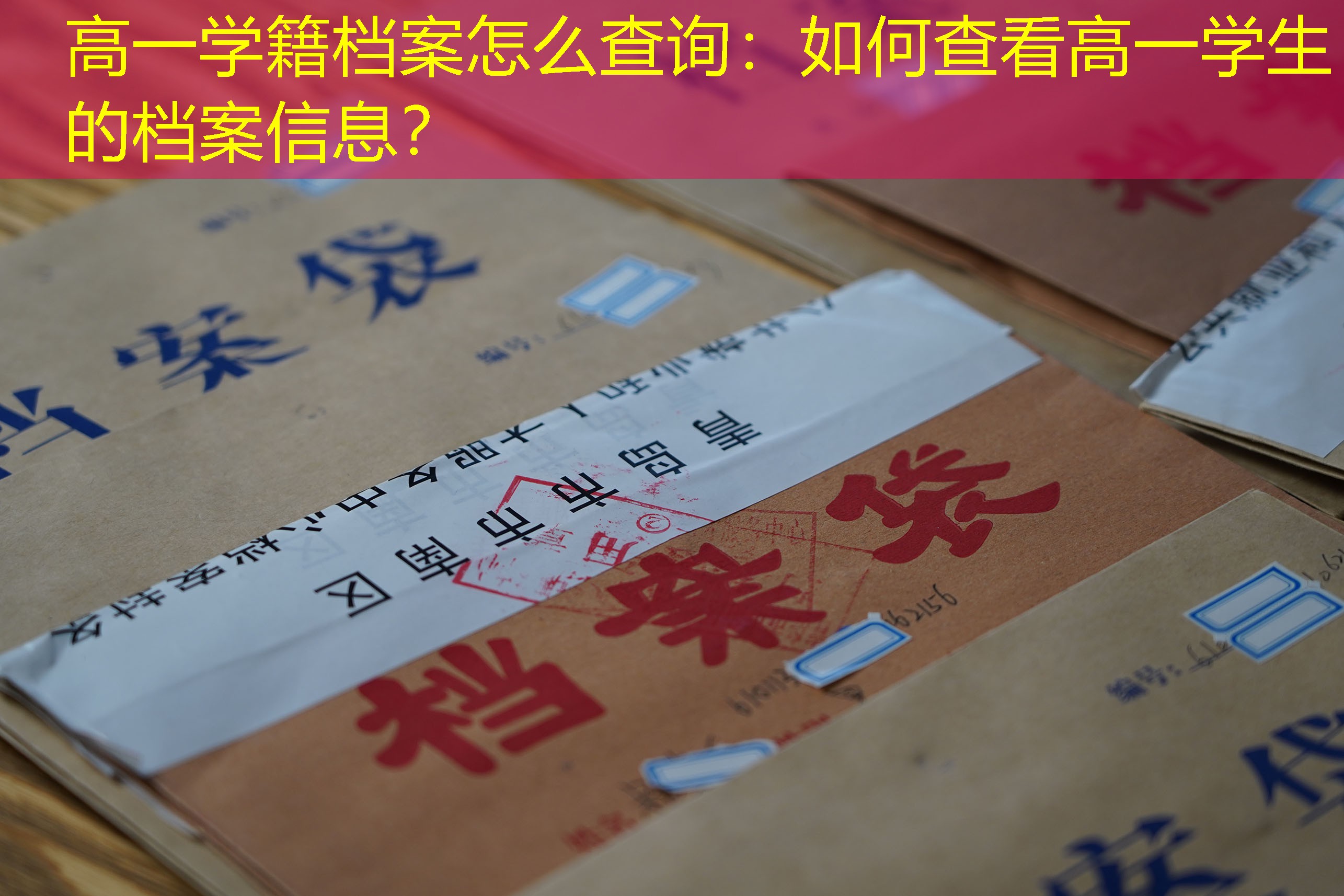 档案查询